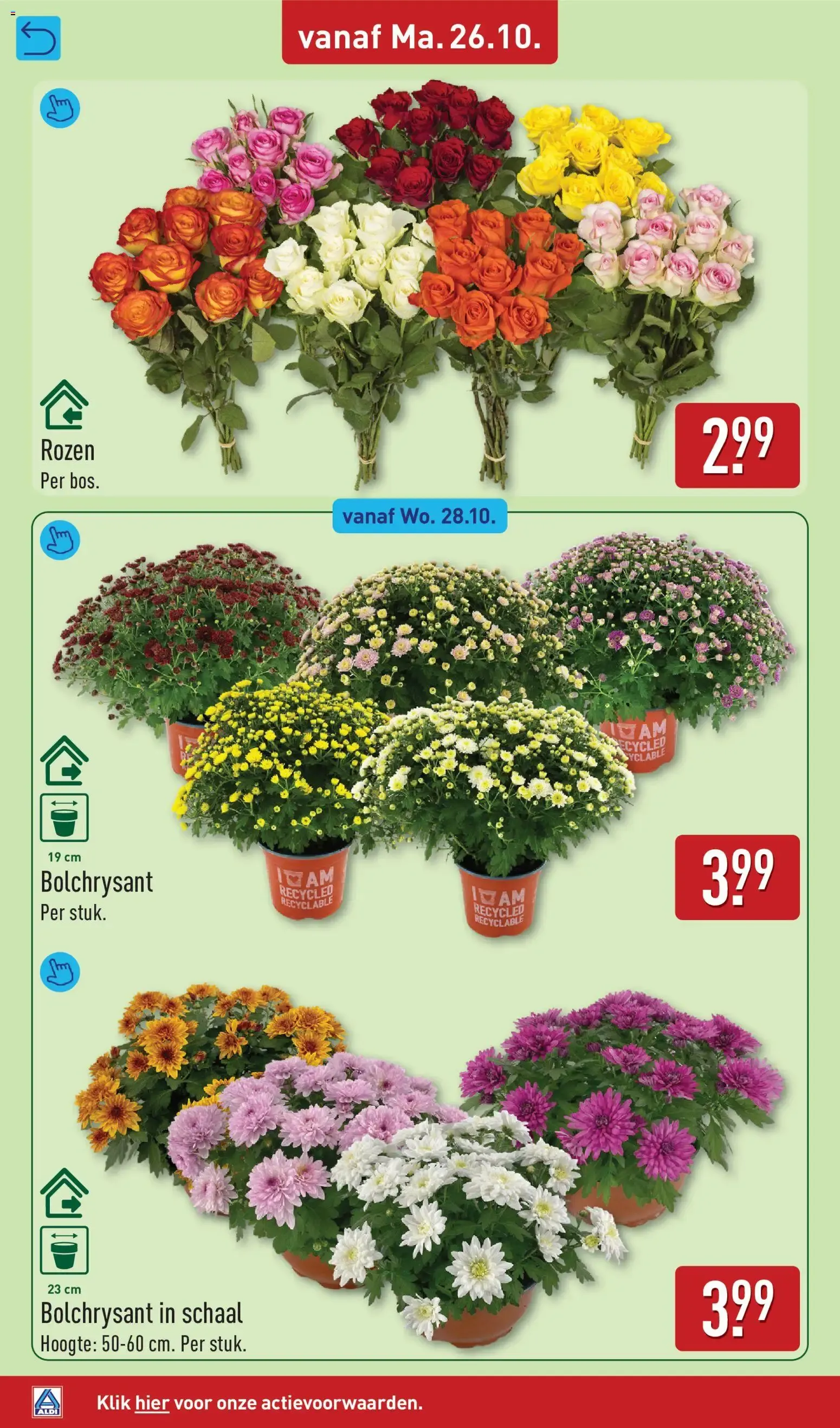 Aldi folder vanaf 26-10-2026 (volgende, deze week) van 26 oktober tot 1 november 2026 - Folder pagina 36