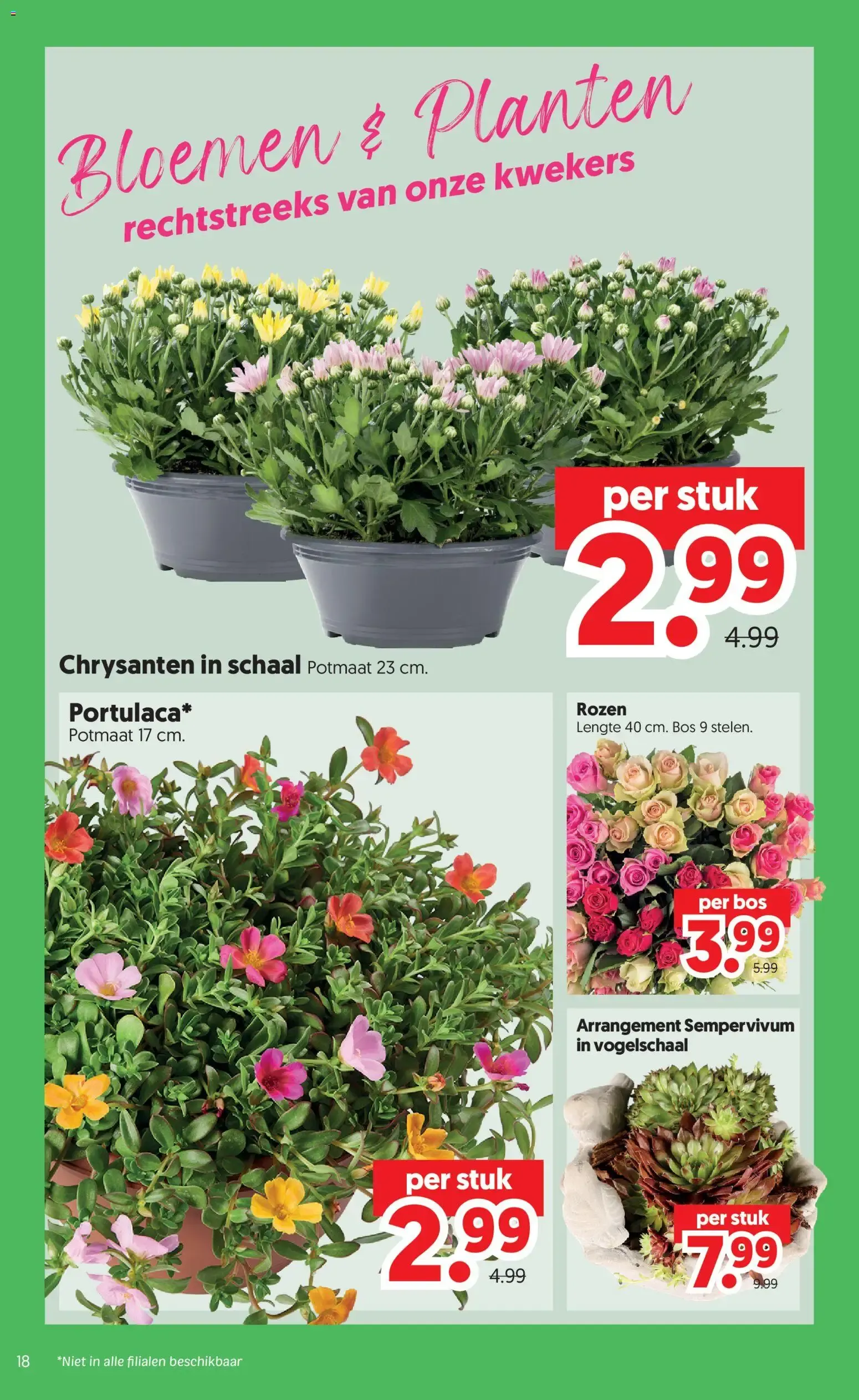 DEKAMARKT Zomer Deals van 28 juli tot 3 augustus 2026 - Folder pagina 18