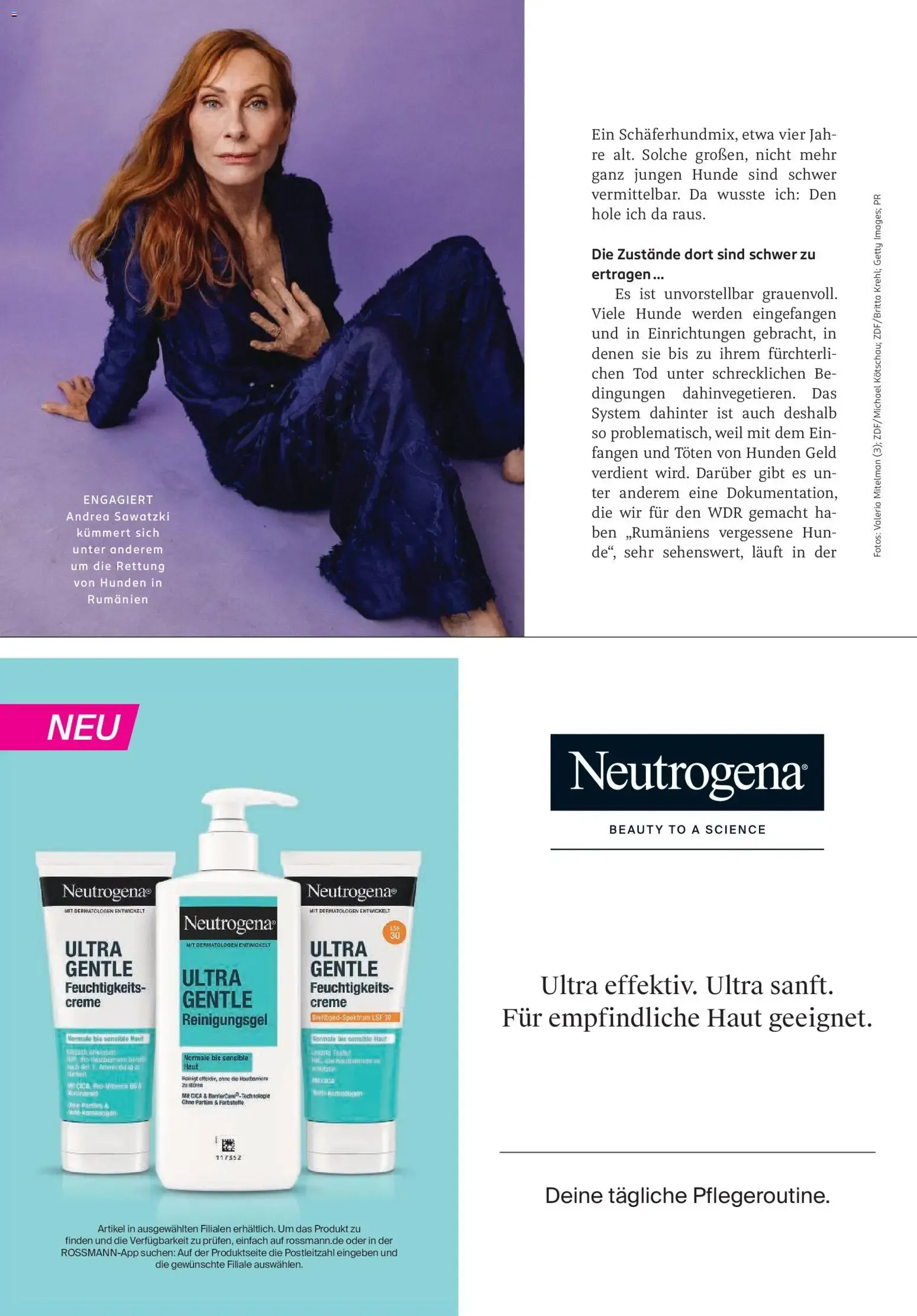 Rossmann Prospekt ab 01.08.2026 > Rossmann Centaur von 1. August bis 31. August 2026 - Prospekt seite 38