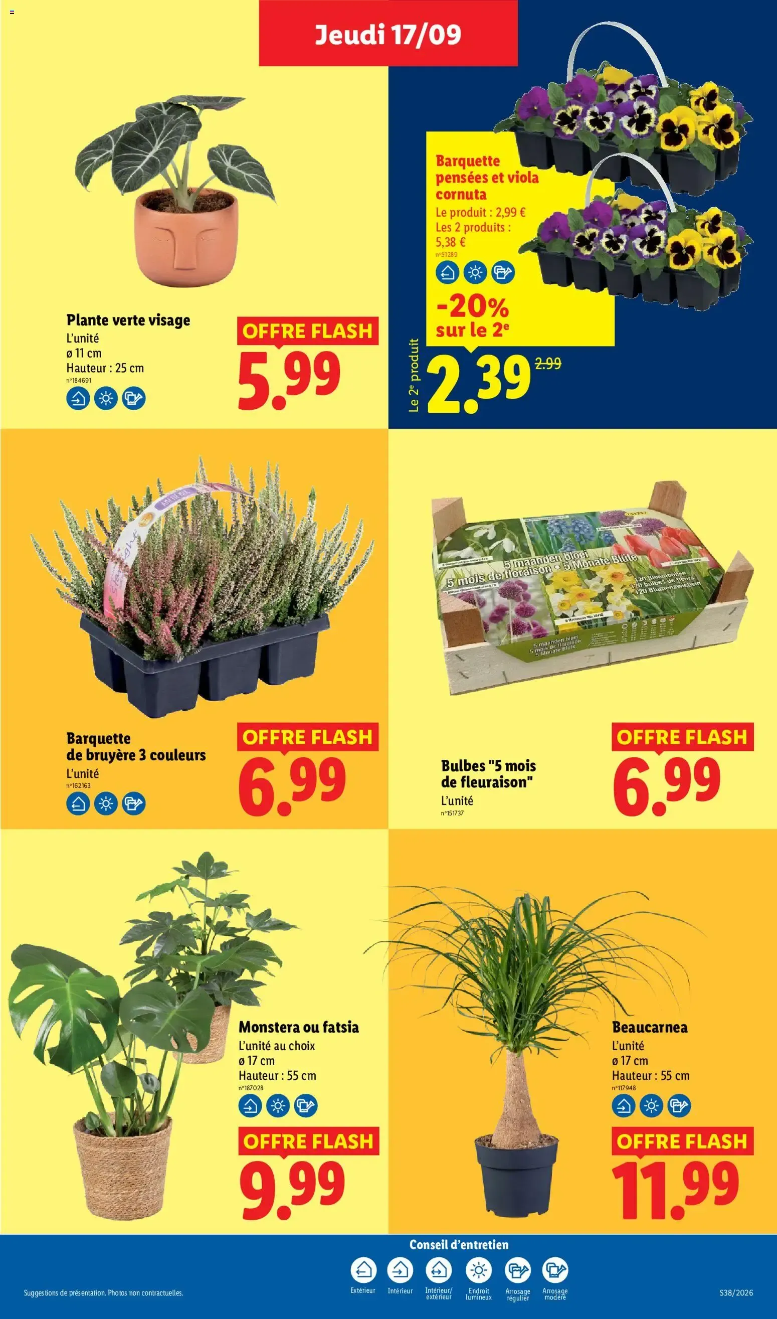 Lidl: Cap sur l'Italie! du 17 septembre au 23 septembre 2026 - Catalogue page 29