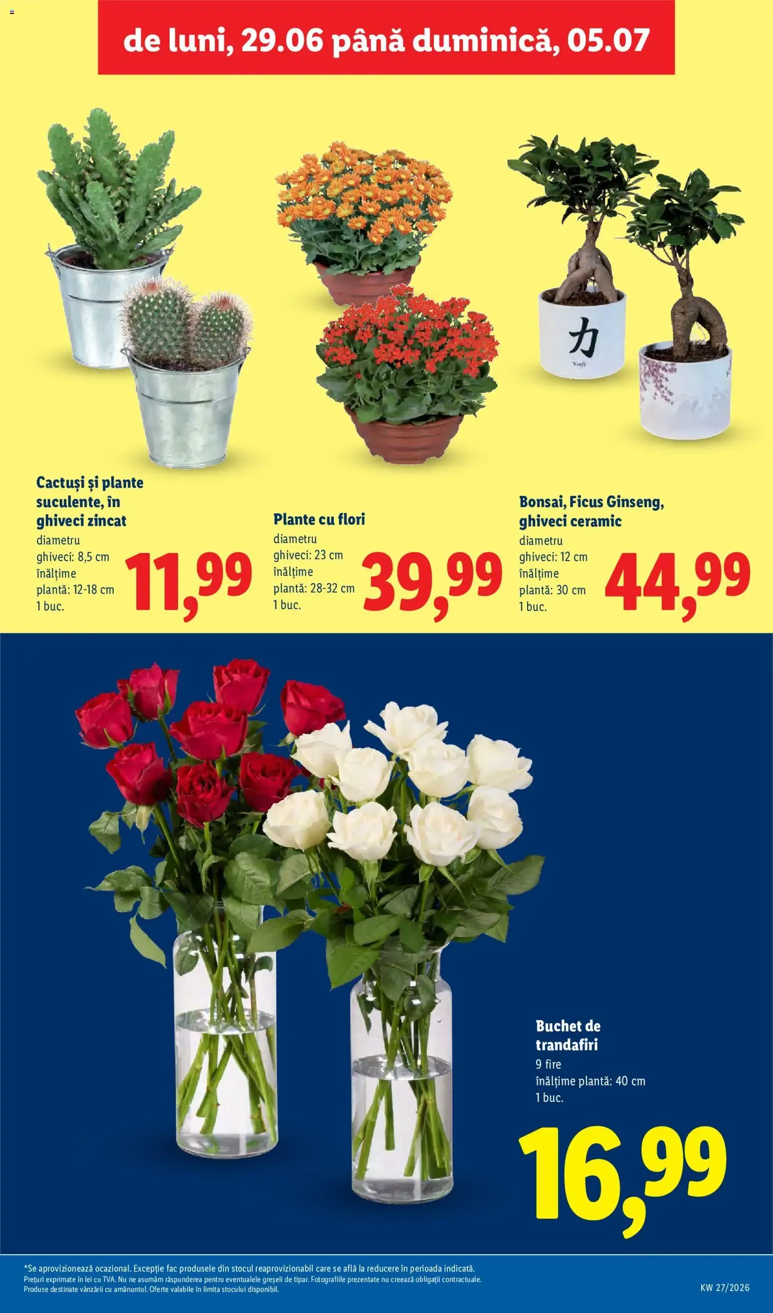 Catalog Catalog LIDL 29.06.2026 - Oferta și Revista online de la 29 iunie până la 5 iulie 2026 - Revista Pagina 55