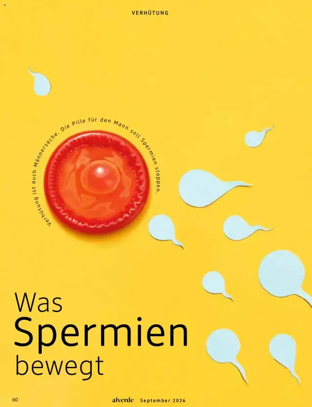 dm Magazin alverde von 1. September bis 30. September 2026 - Prospekt seite 60