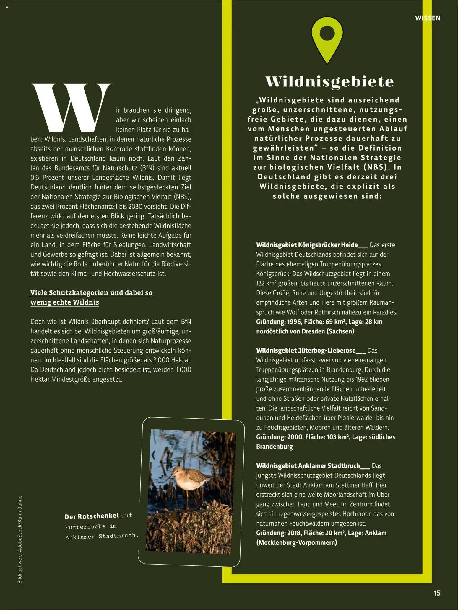 Das BioMarkt Magazin KREO von 17. Juli bis 30. September 2026 - Prospekt seite 15