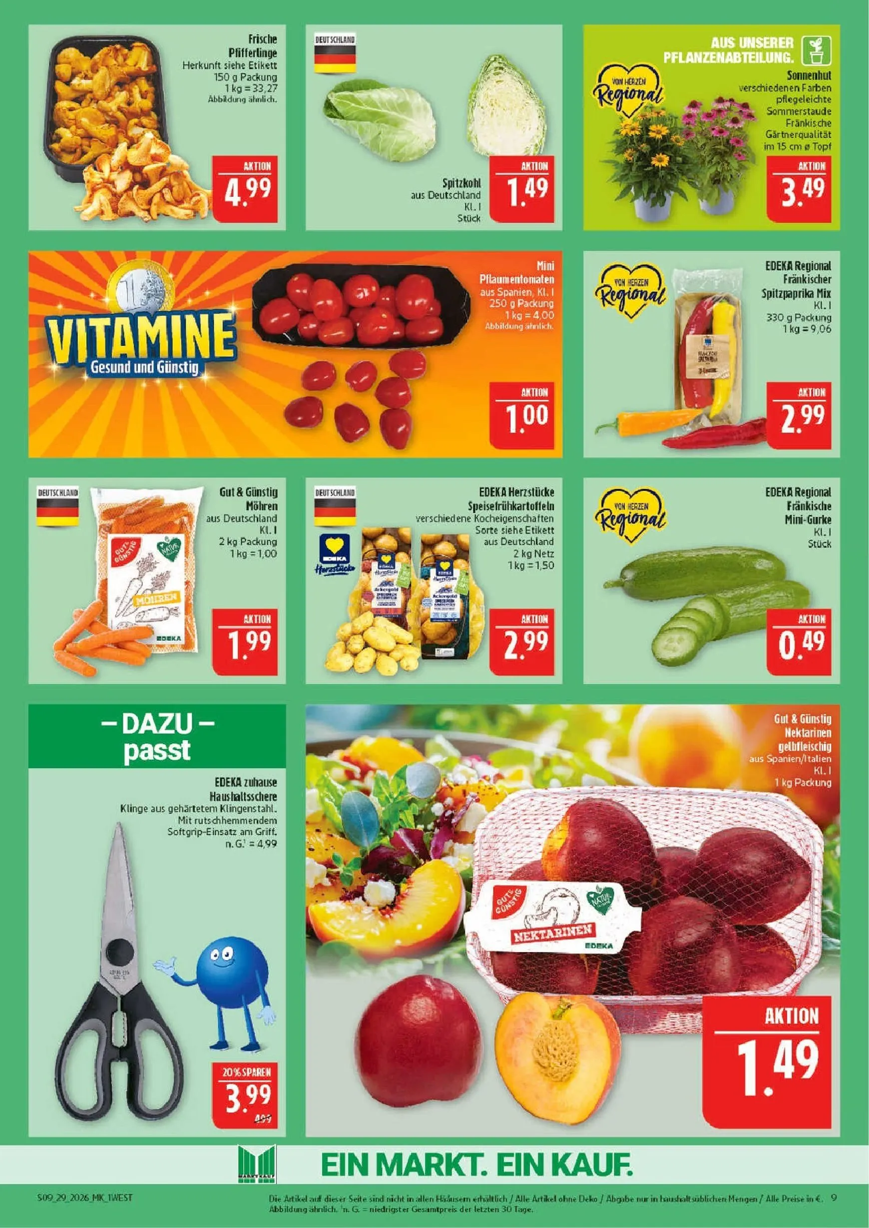 Marktkauf Prospekt – von Montag 13.07.2026 bis Samstag 18.07.2026 von 13. Juli bis 18. Juli 2026 - Prospekt seite 9