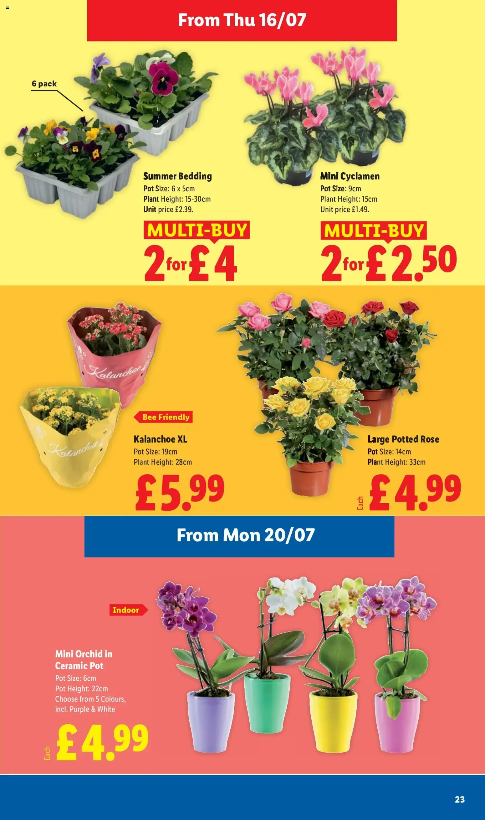 Weekly offers Lidl (16/07/2026 - 22/07/2026) - Offers Online from 16 July to 22 July 2026 - Catalogue Page 23