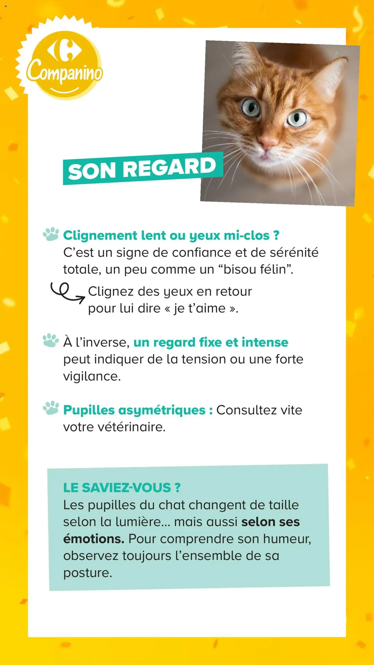 Carrefour Market Découvrez la marque carrefour companino à partir du 04/08/2026 - promo en ligne du 4 août au 7 septembre 2026 - Catalogue page 15