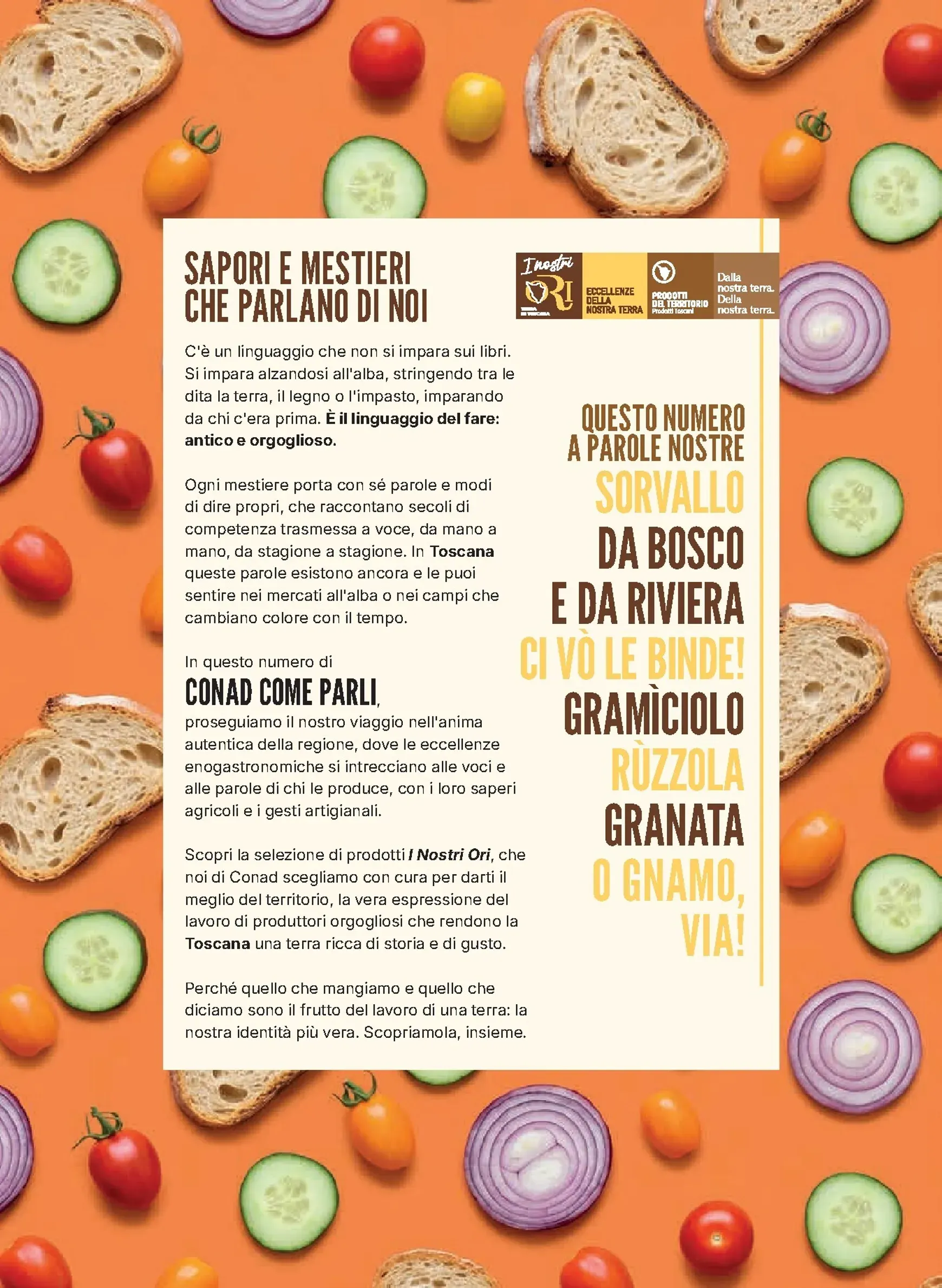 Conad Come Parli: La Toscana parola per parola da 30 luglio a 12 agosto di 2026 - Pagina del volantino 2