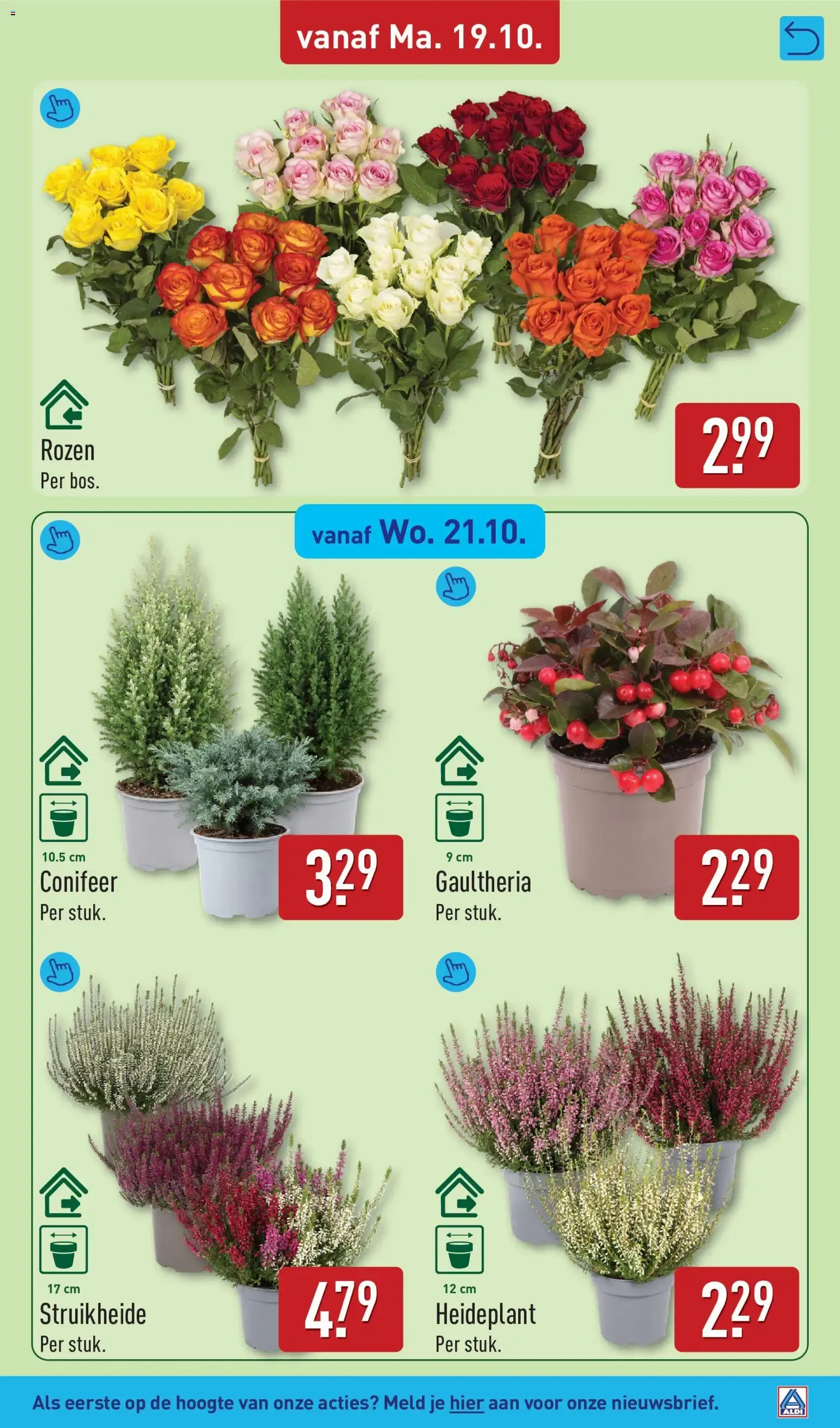 Aldi folder vanaf 19-10-2026 (volgende, deze week) van 19 oktober tot 25 oktober 2026 - Folder pagina 33