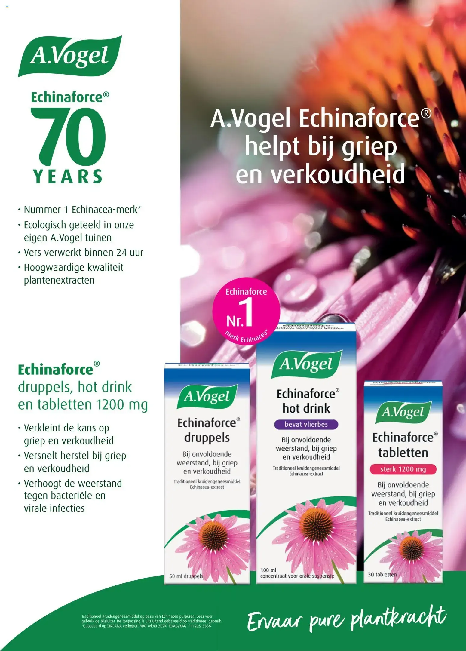 Da: hoe dan? Editie 1 | 2026 van 25 februari tot 30 juni 2026 - Folder pagina 18