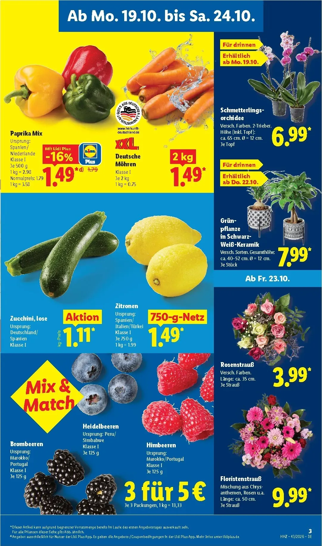 Lidl Prospekt – von Montag 19.10.2026 bis Samstag 24.10.2026 von 19. Oktober bis 24. Oktober 2026 - Prospekt seite 3