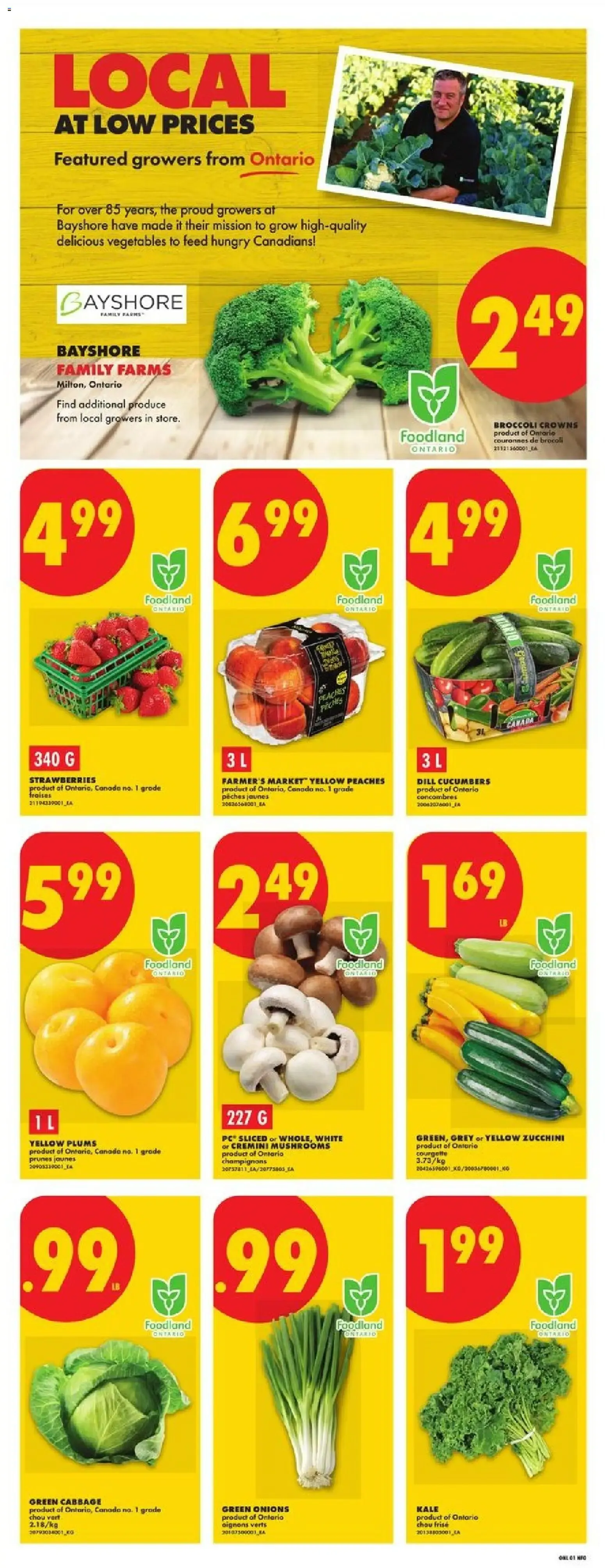 No Frills weekly flyer - ON from Jul 23, 2026 > weekly specials & deals from July 23 to July 29 2026 - flyer page 3