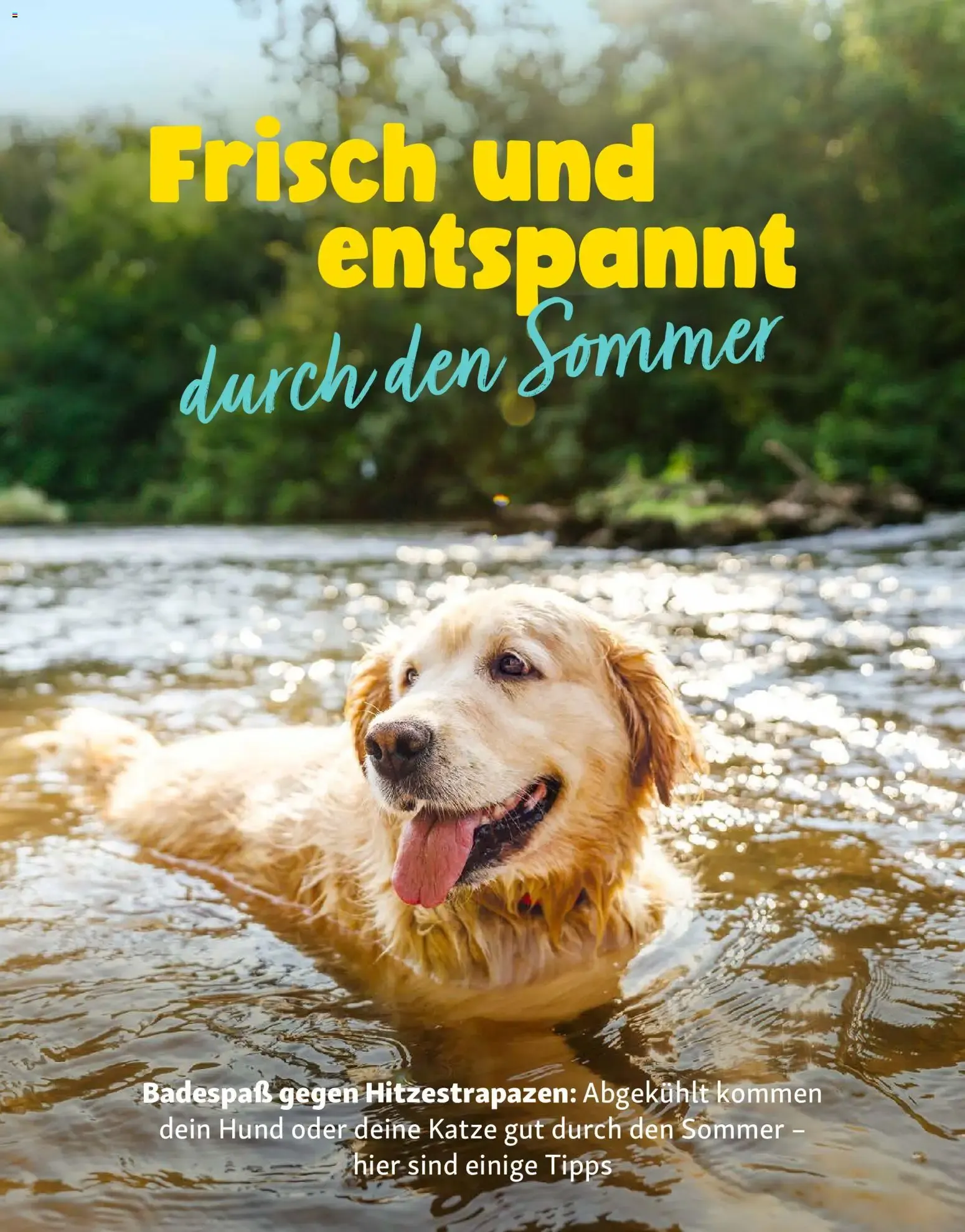 FRESSNAPF Friends - Europas größtes Haustier-Magazin von 1. Juli bis 31. August 2026 - Prospekt seite 16