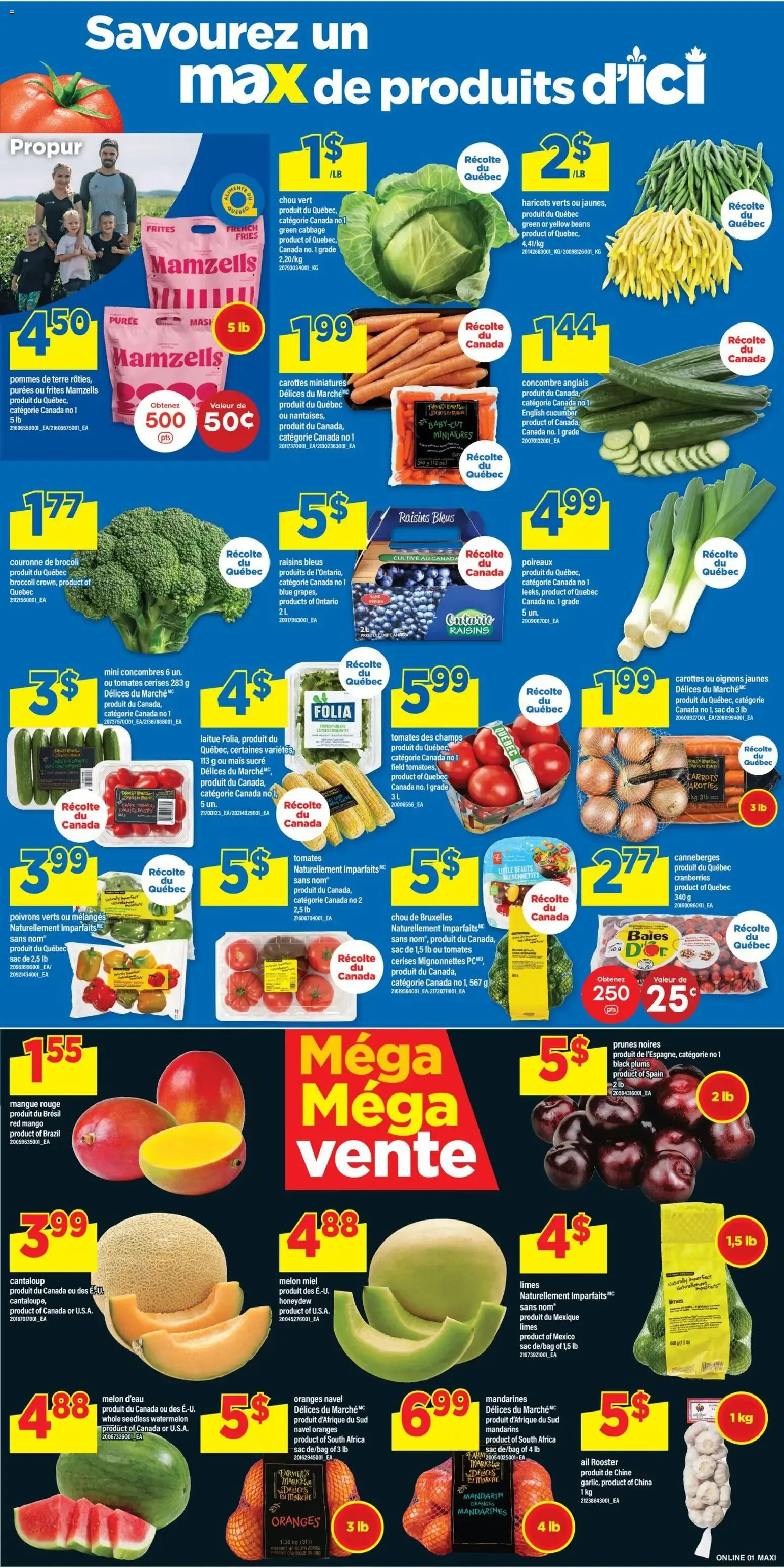 Maxi - Méga Méga vente from September 17 to September 23 2026 - flyer page 5