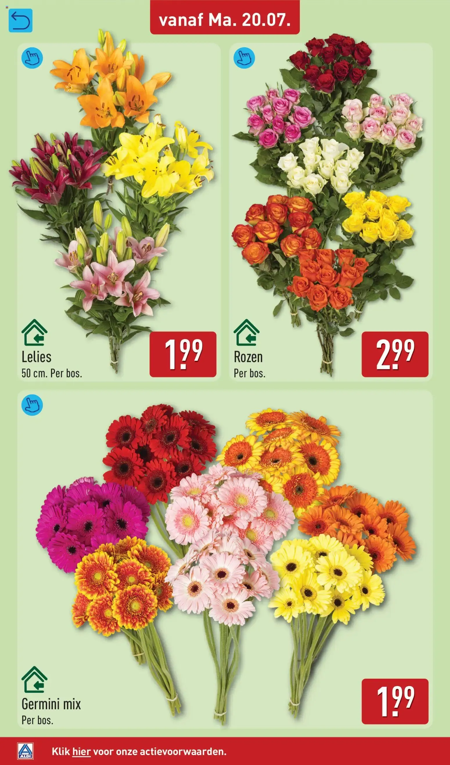 Folleto semanal de ofertas de Aldi (20 al 26 de julio) van 20 juli tot 26 juli 2026 - Folder pagina 36