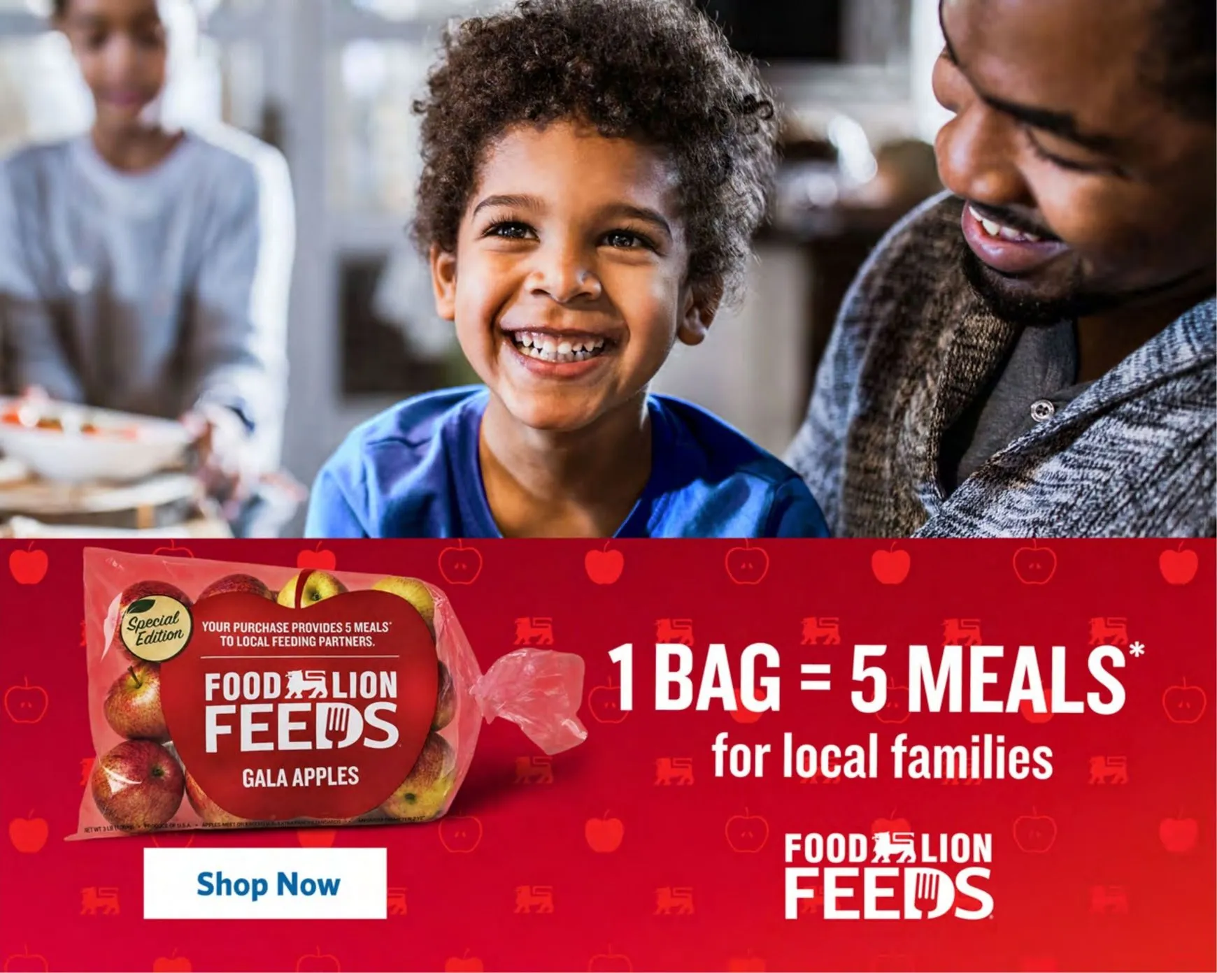 Weekly ad Current Food Lion leaflet valid from Wednesday 09/16/2026 to Tuesday 09/22/2026 from September 16 to September 22 2026 - Page 2