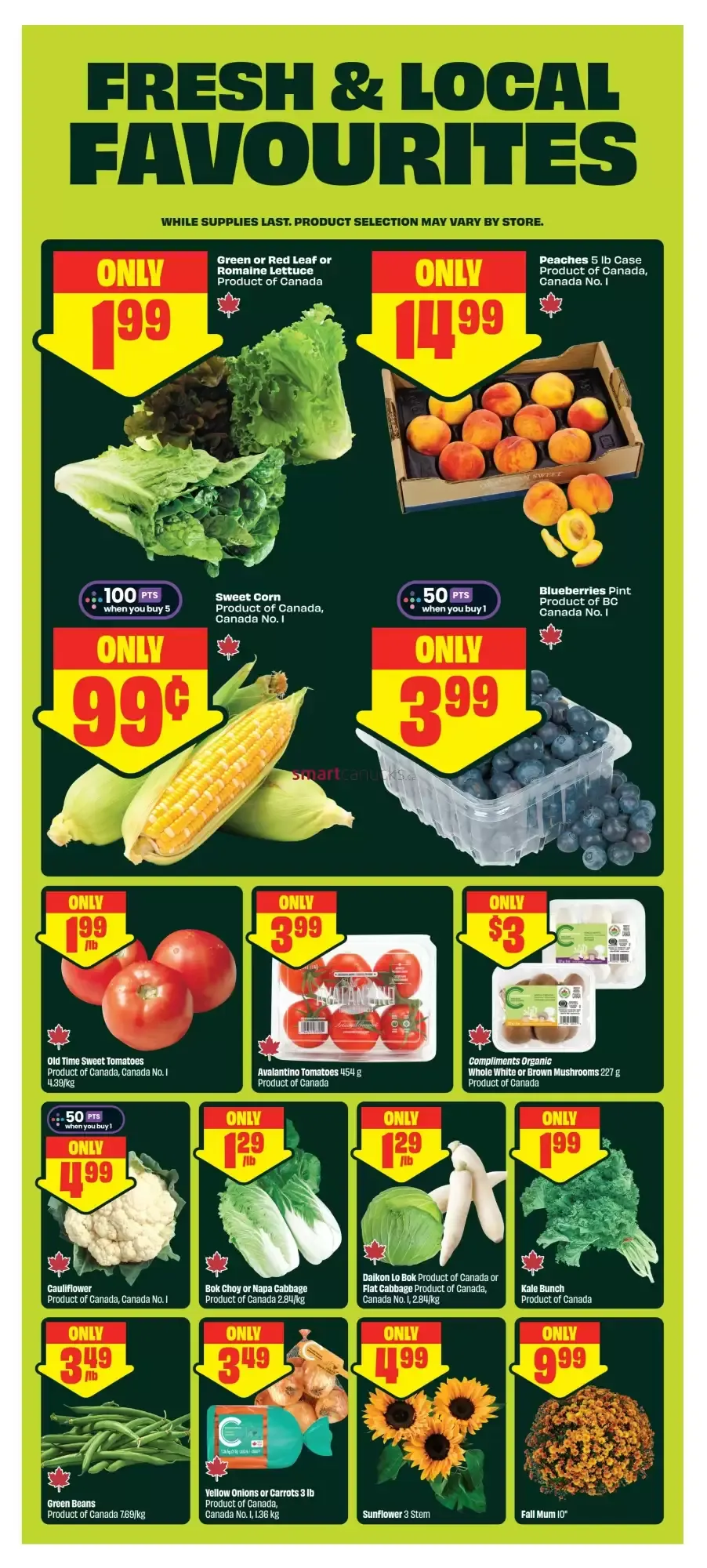 FreshCo Flyer from August 13 to August 19 2026 - flyer page 5