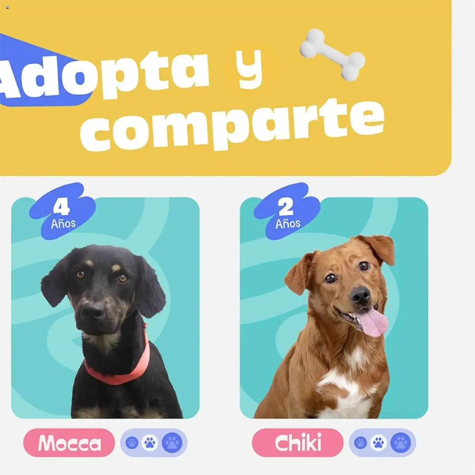 Catalogo de Catálogo Plaza Vea - Especial Mascotas N4 online del 01/09/2026 1 de setiembre al 20 de setiembre 2026 - Pag 3