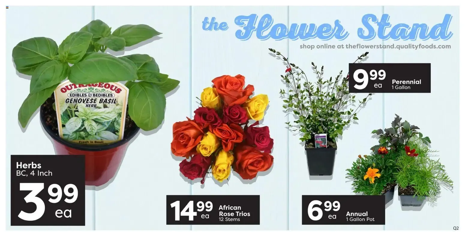 Quality Foods weekly flyer / circulaire from Jun 18, 2026 > weekly specials & deals from June 18 to June 24 2026 - flyer page 3