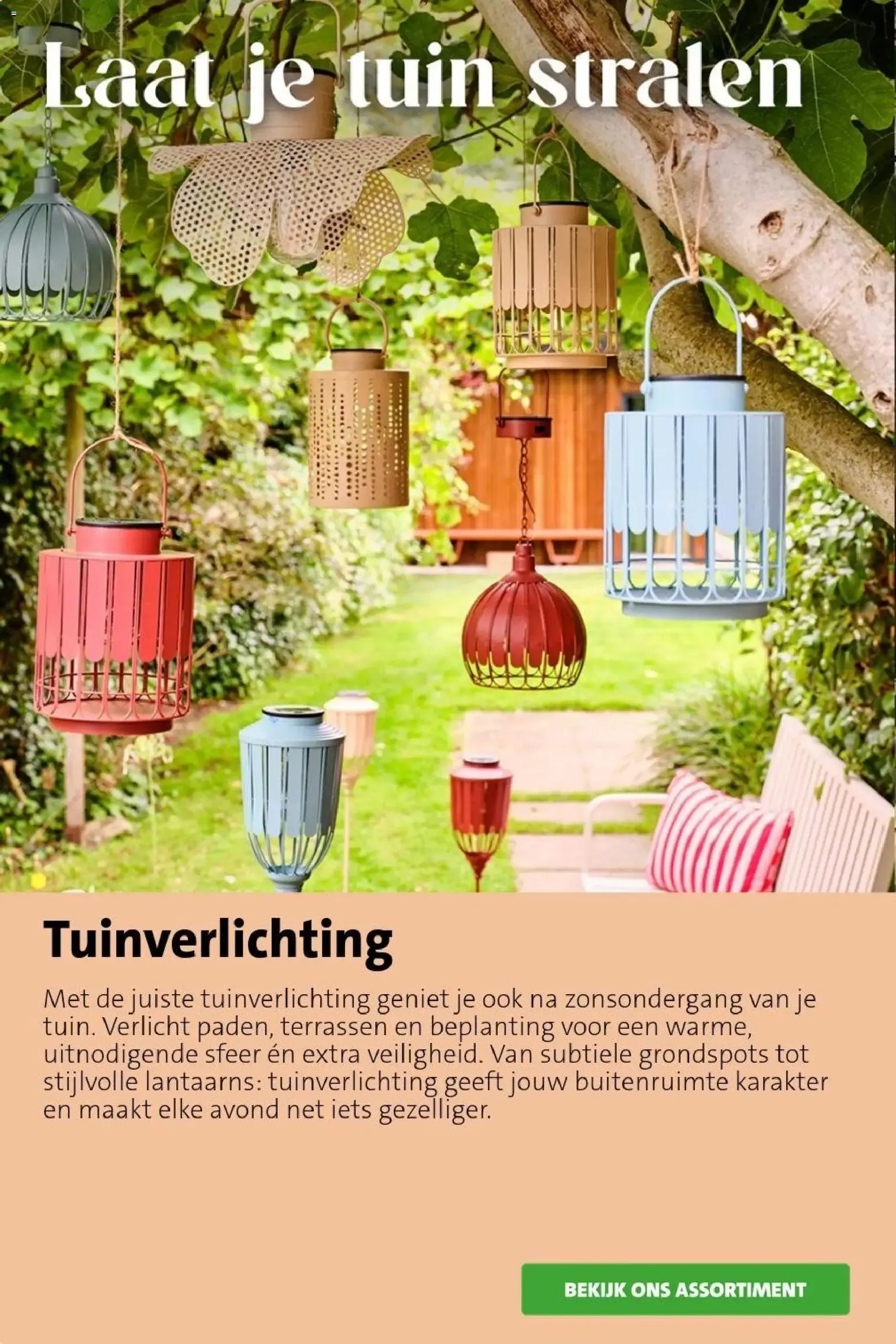 Kleurrijke bloei van 10 augustus tot 16 augustus 2026 - Folder pagina 12