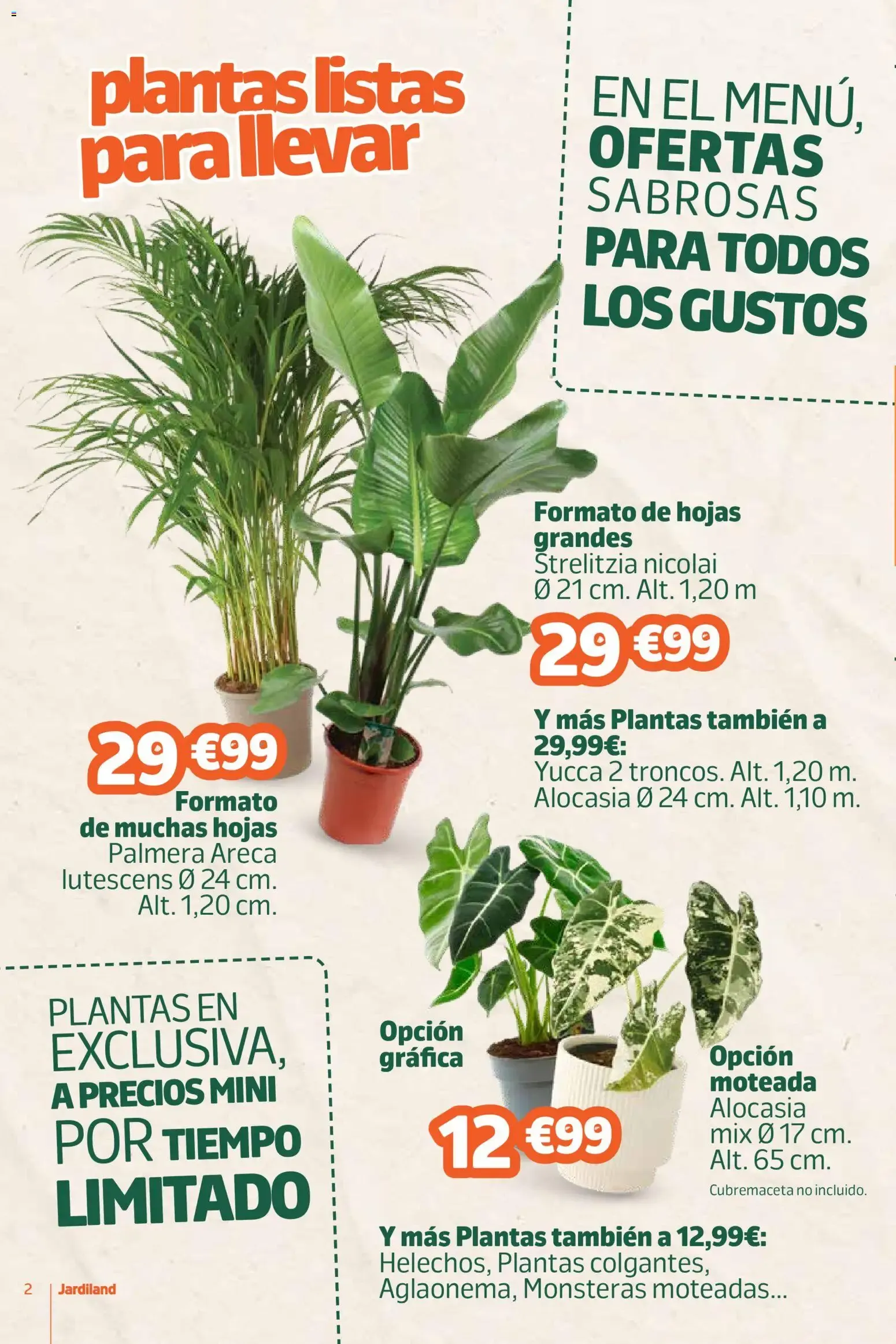 Catálogo de Jardiland folleto 27/08/2026 - 07/09/2026 27 de agosto al 7 de septiembre 2026 - Página 2