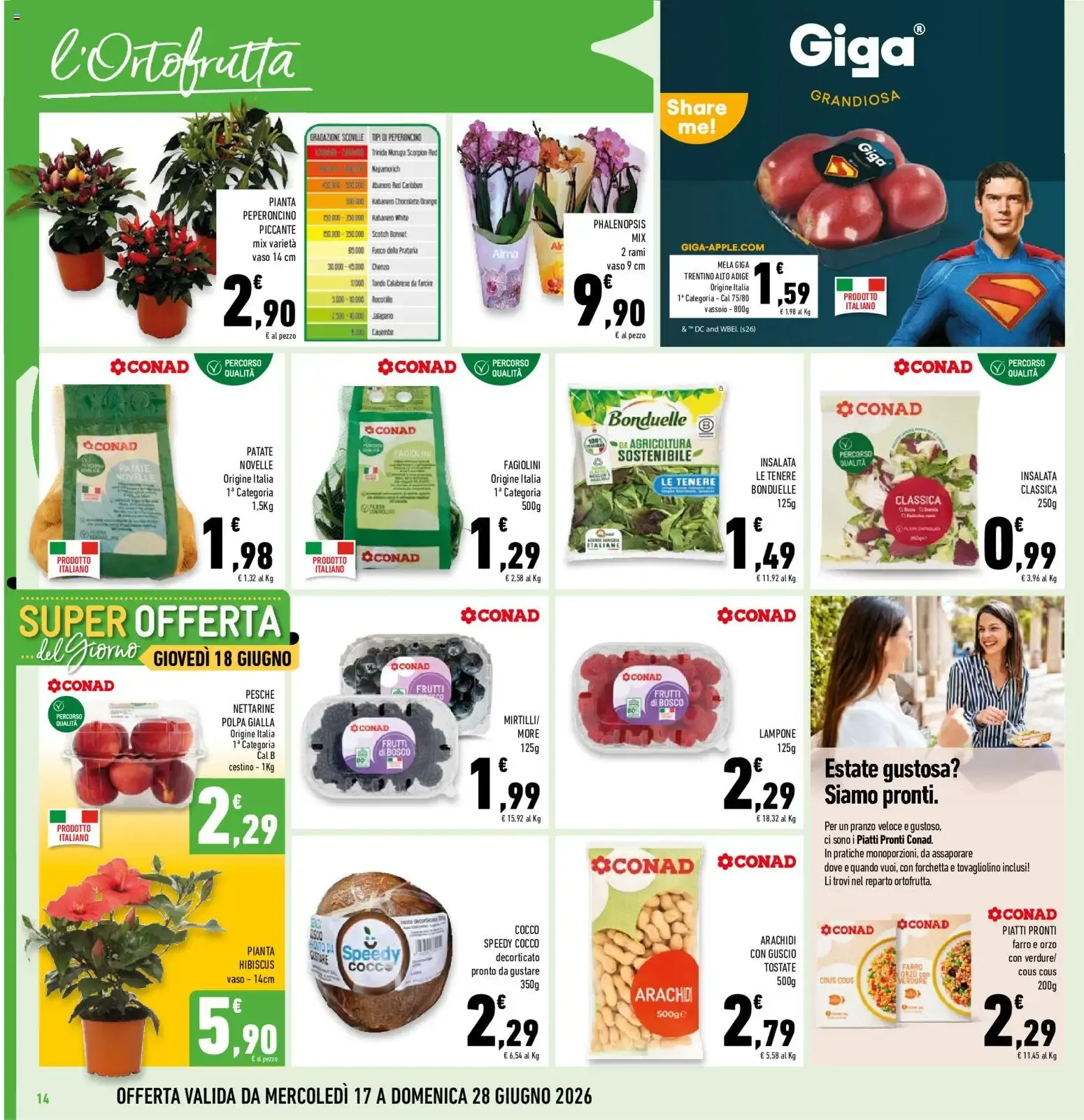 Volantino Conad dal 17/06/2026 > Anteprima da 17 giugno a 28 giugno di 2026 - Pagina del volantino 14