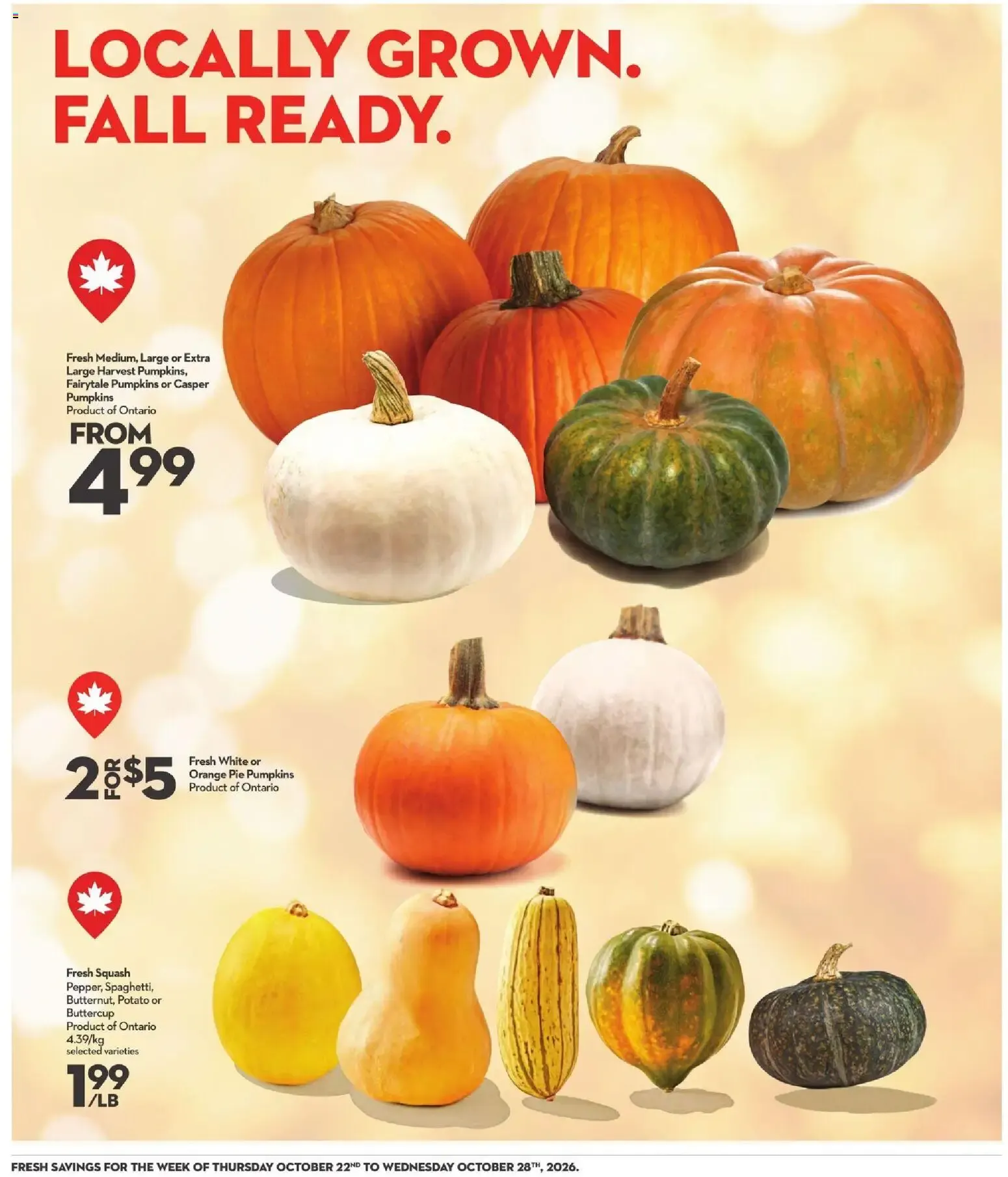 Longo's weekly flyer / circulaire from Oct 22, 2026 > weekly specials & deals from October 22 to October 28 2026 - flyer page 13