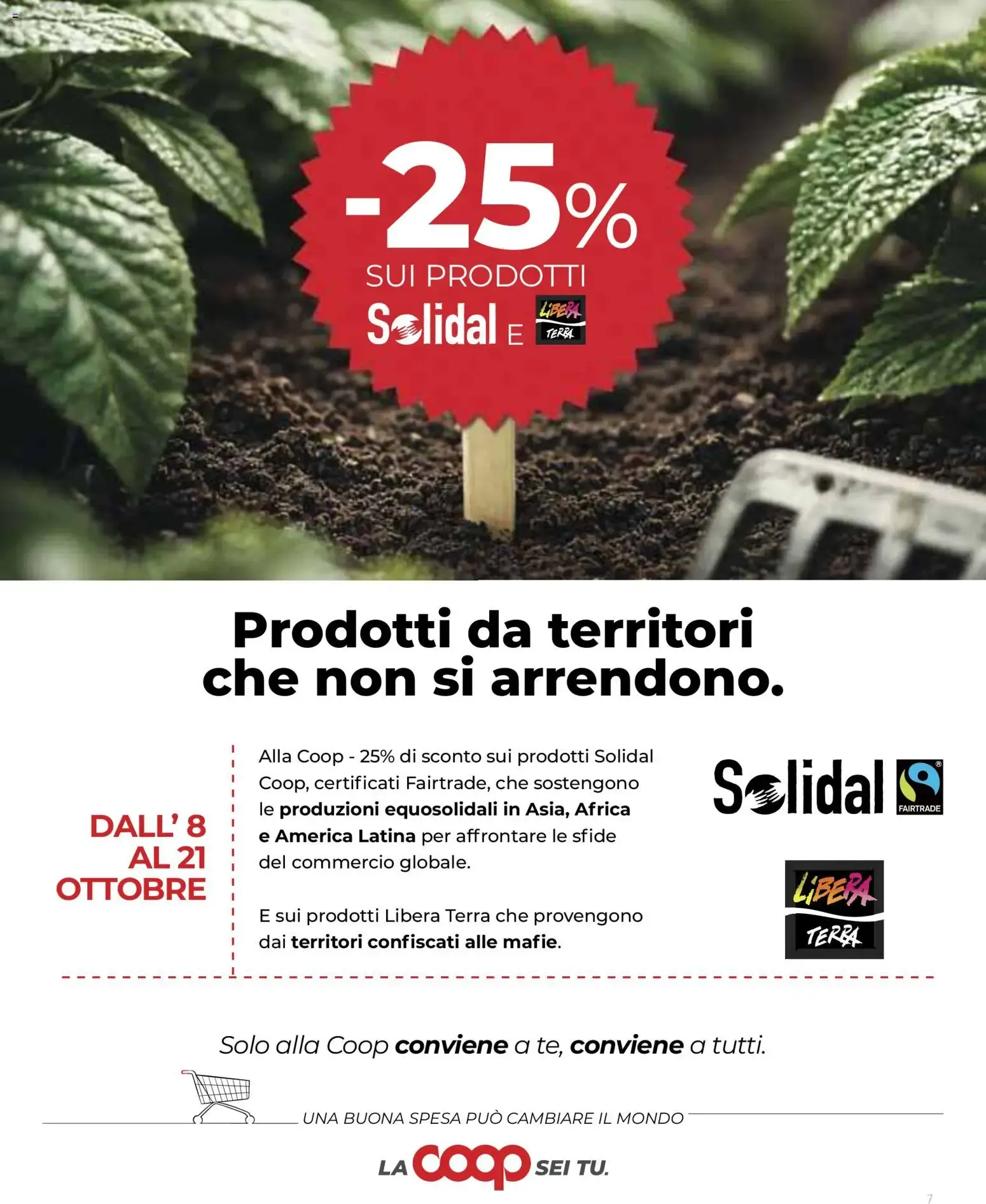 Coop Superstore Extra Offerte da 1 ottobre a 14 ottobre di 2026 - Pagina del volantino 7