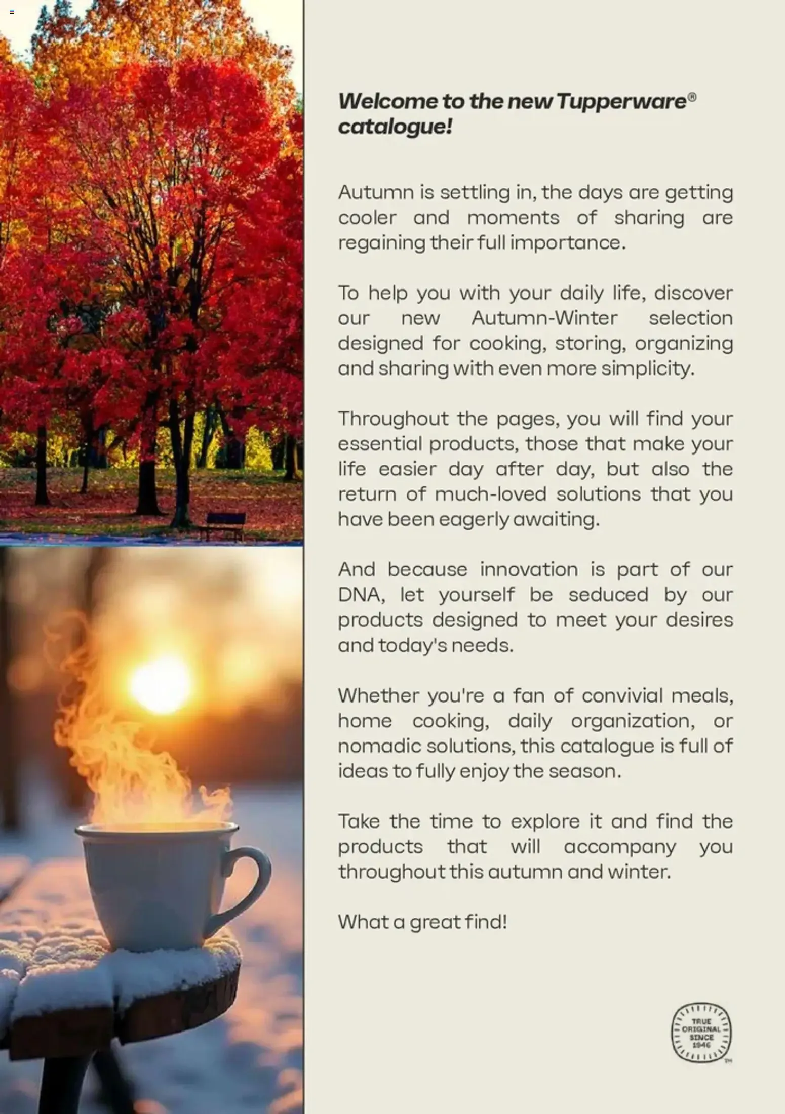 Tupperware Autumn 2026 - Winter 2027 du 1 novembre au 31 décembre 2026 - Catalogue page 2