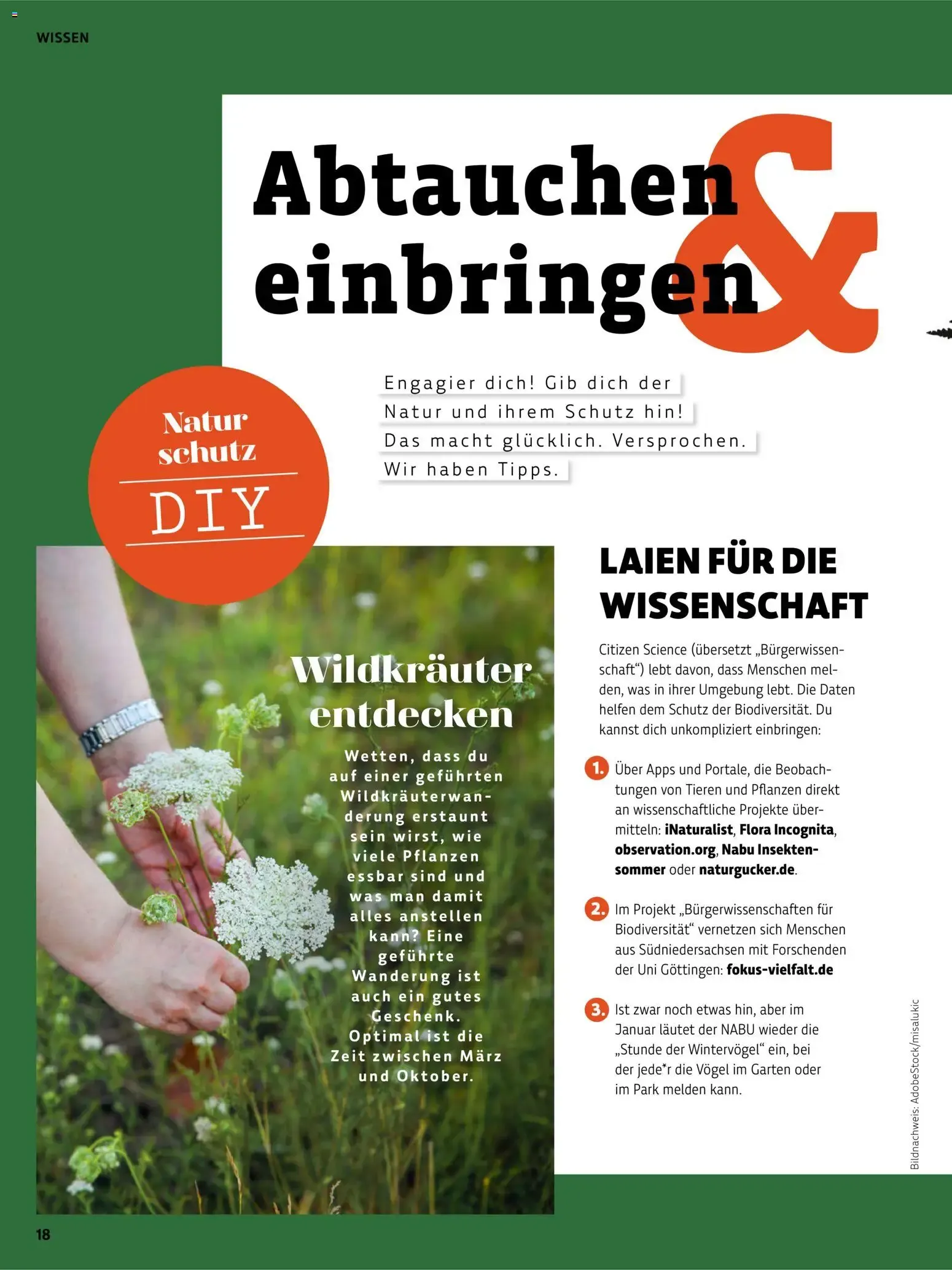 Das BioMarkt Magazin KREO von 17. Juli bis 30. September 2026 - Prospekt seite 8