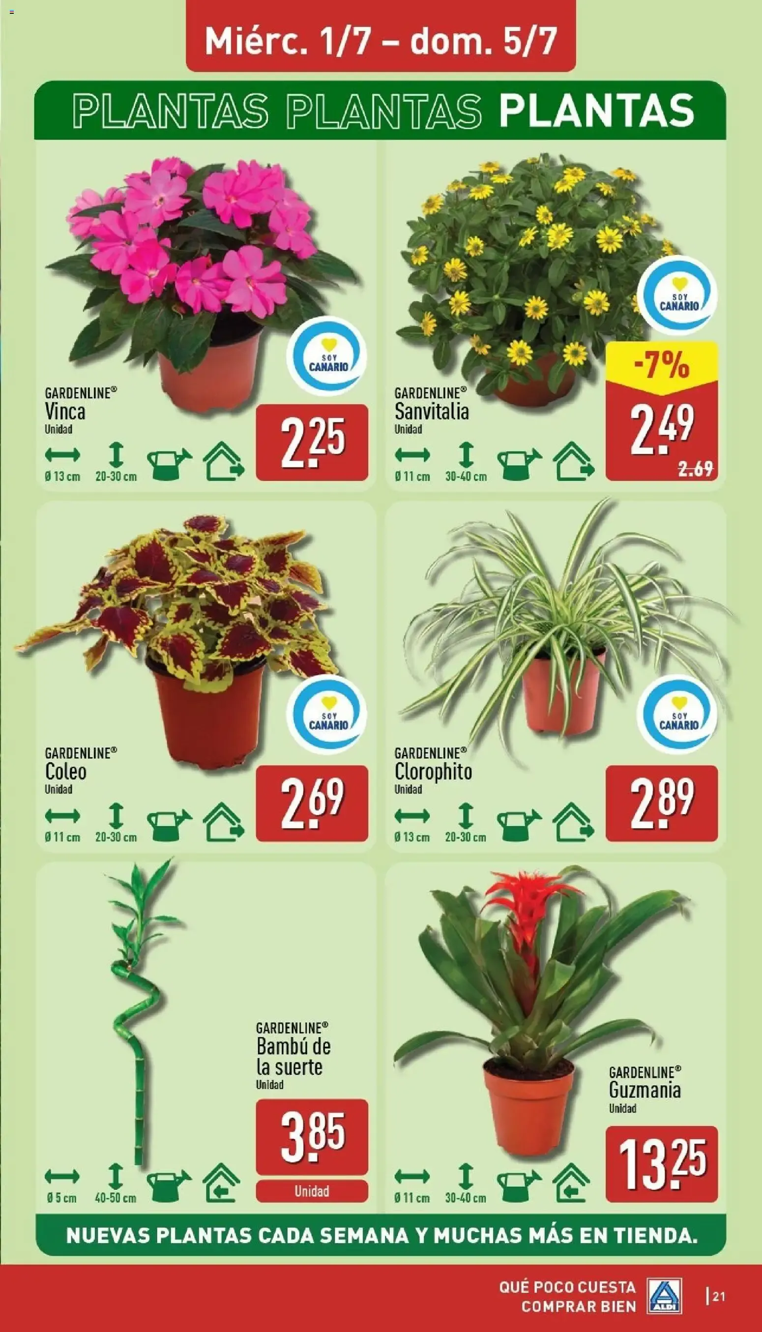 Catálogo de Aldi folleto Canarias del 29/06/2026 | Catálogo 29 de junio al 5 de julio 2026 - Página 21