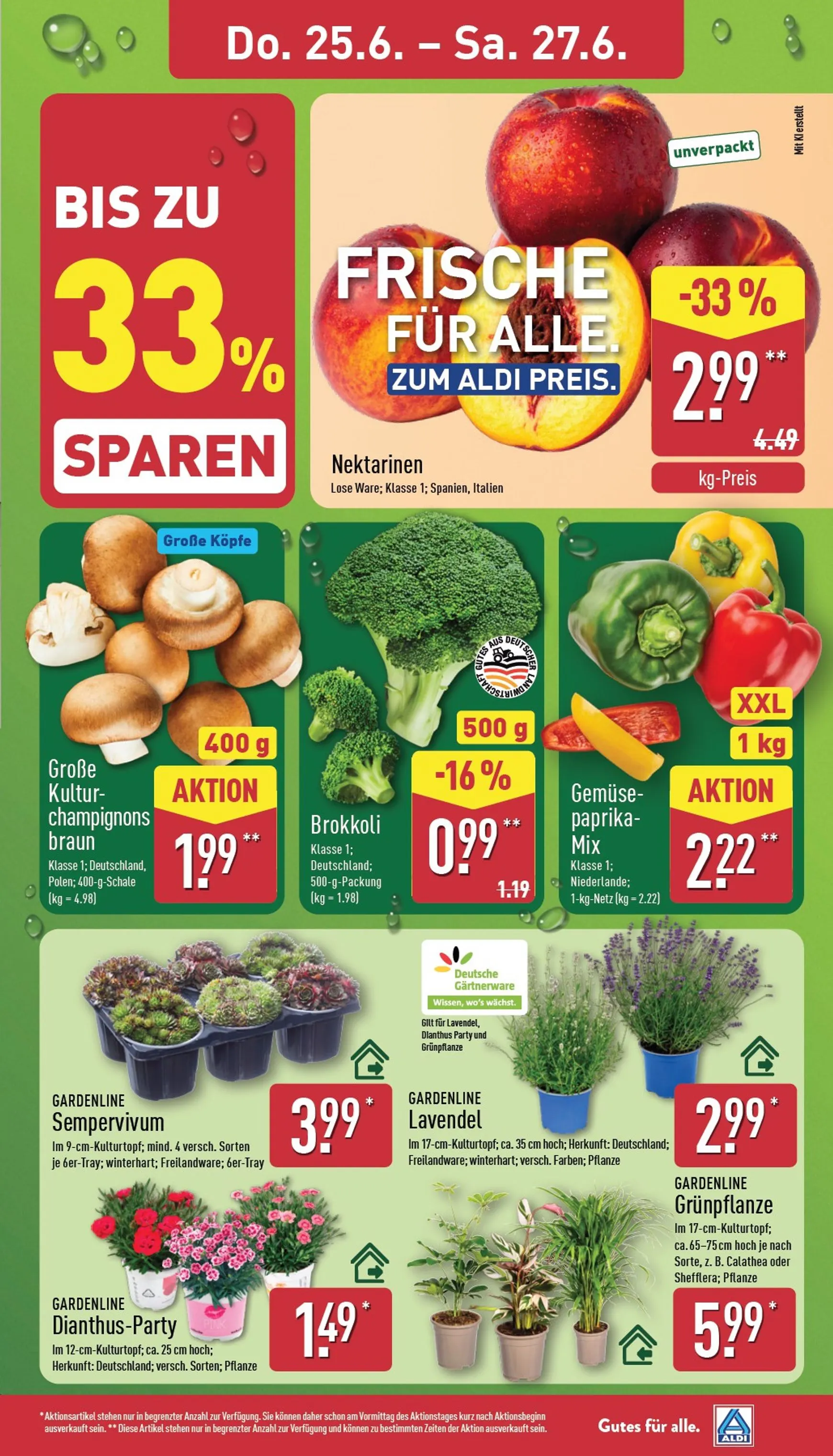 ALDI NORD Prospekt – von Montag 22.06.2026 bis Samstag 27.06.2026 von 22. Juni bis 27. Juni 2026 - Prospekt seite 29