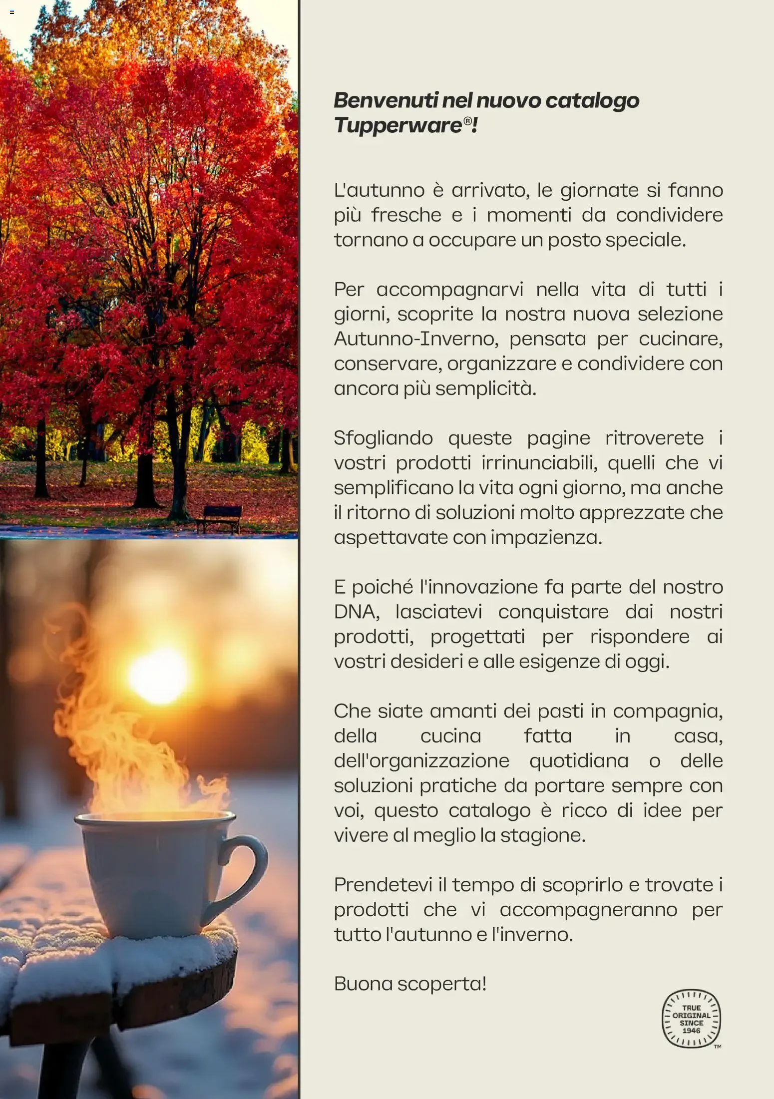 Tupperware Autunno 2026 - Inverno 2027 da 1 ottobre a 31 marzo di 2027 - Pagina del volantino 2