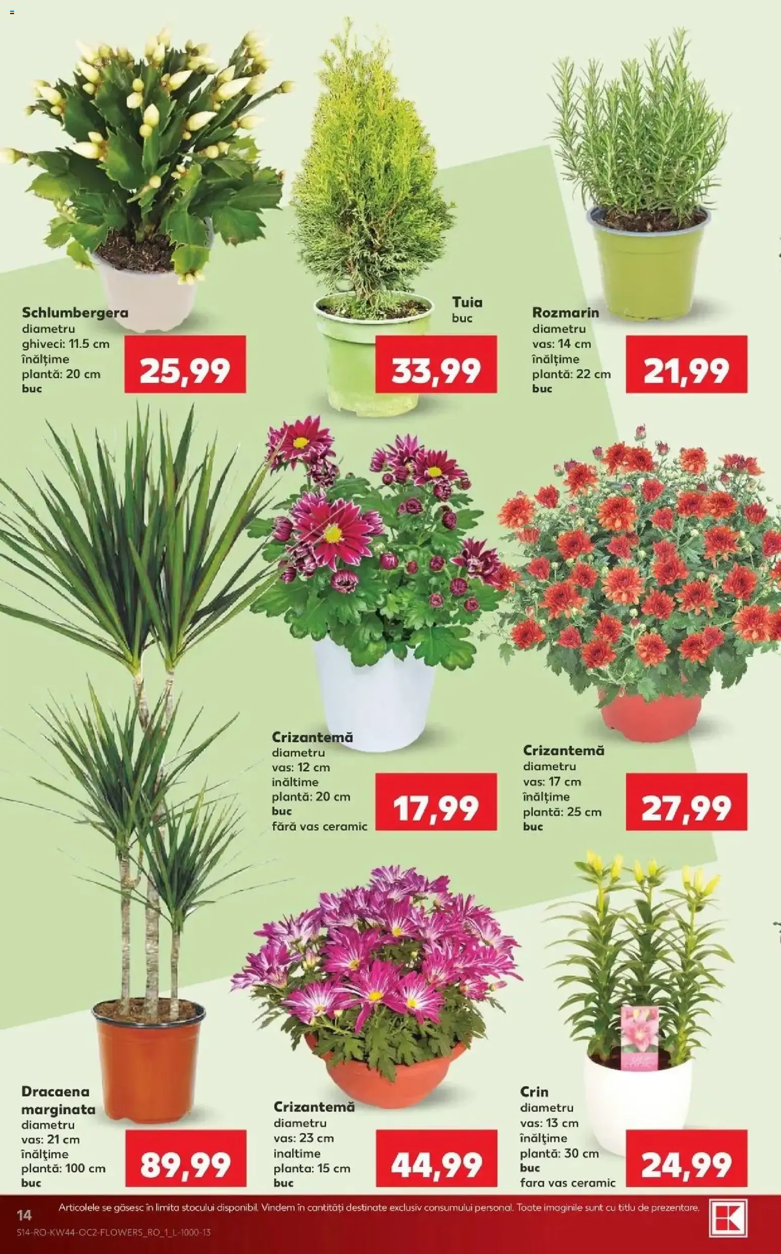 Catalog Kaufland București 28.10.2026 - Revista si Oferta de la 28 octombrie până la 3 noiembrie 2026 - Revista Pagina 13