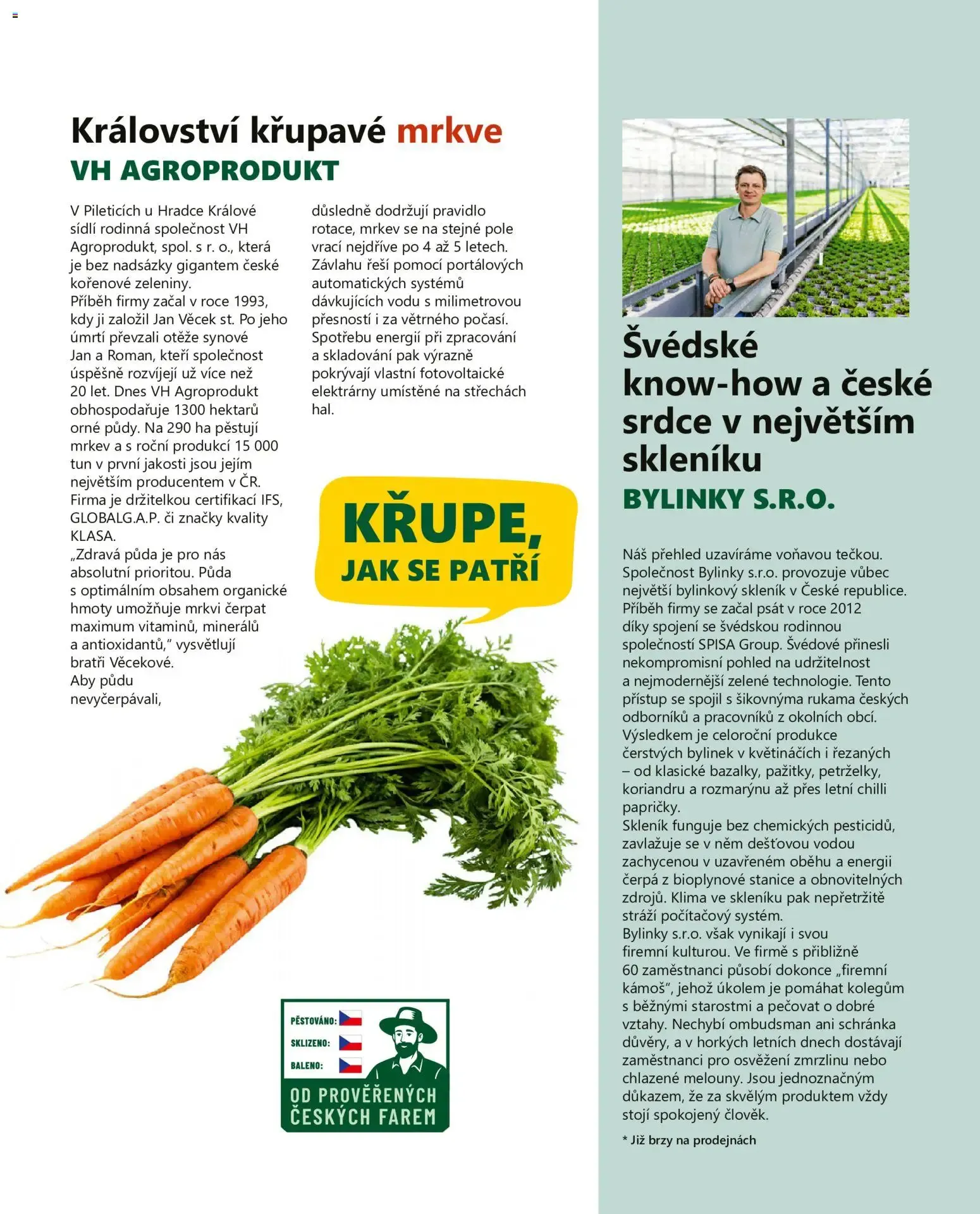 BILLA Gusto, Podzim 2026 - 1. září 30. listopadu 2026 - Page 13