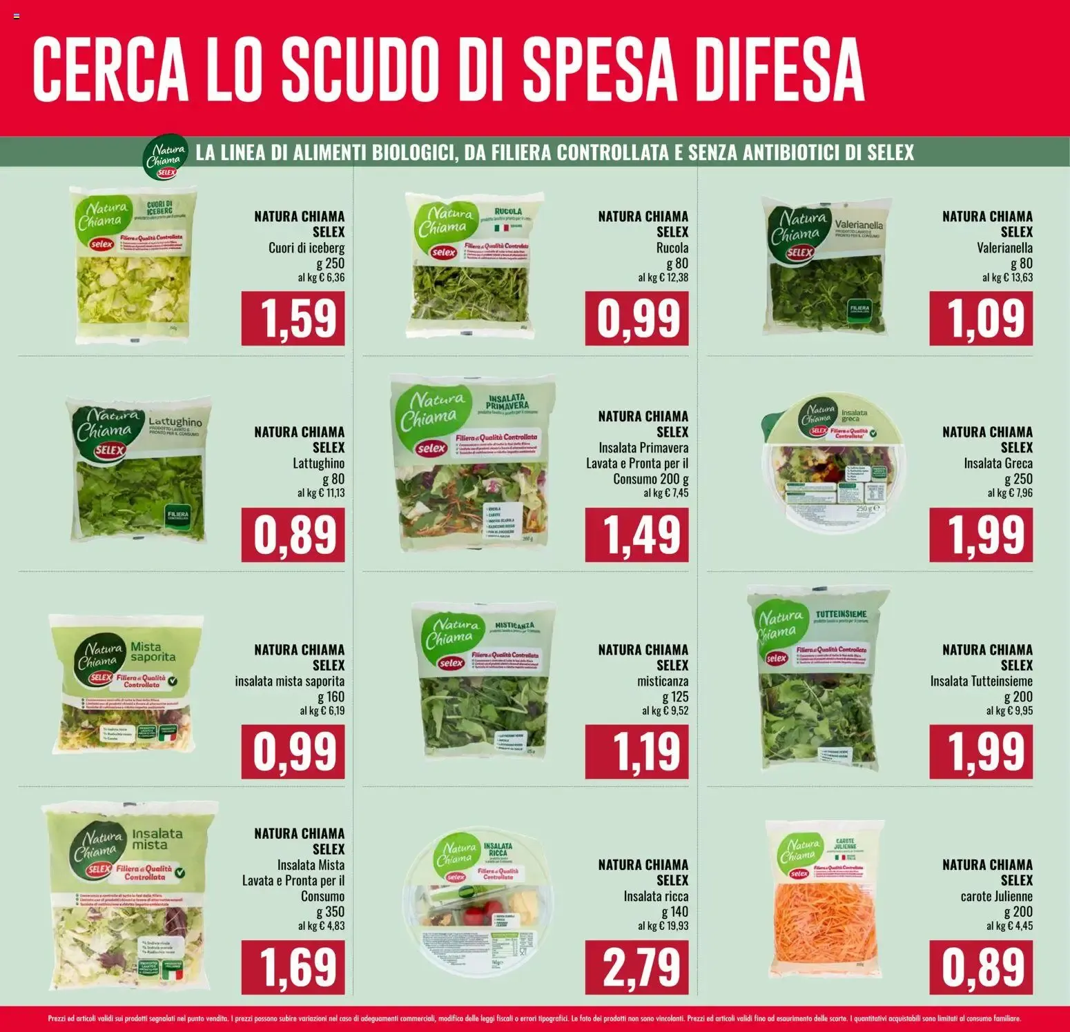 CERCA LO SCUDO DI SPESA DIFESA da 8 ottobre a 10 febbraio di 2027 - Pagina del volantino 2