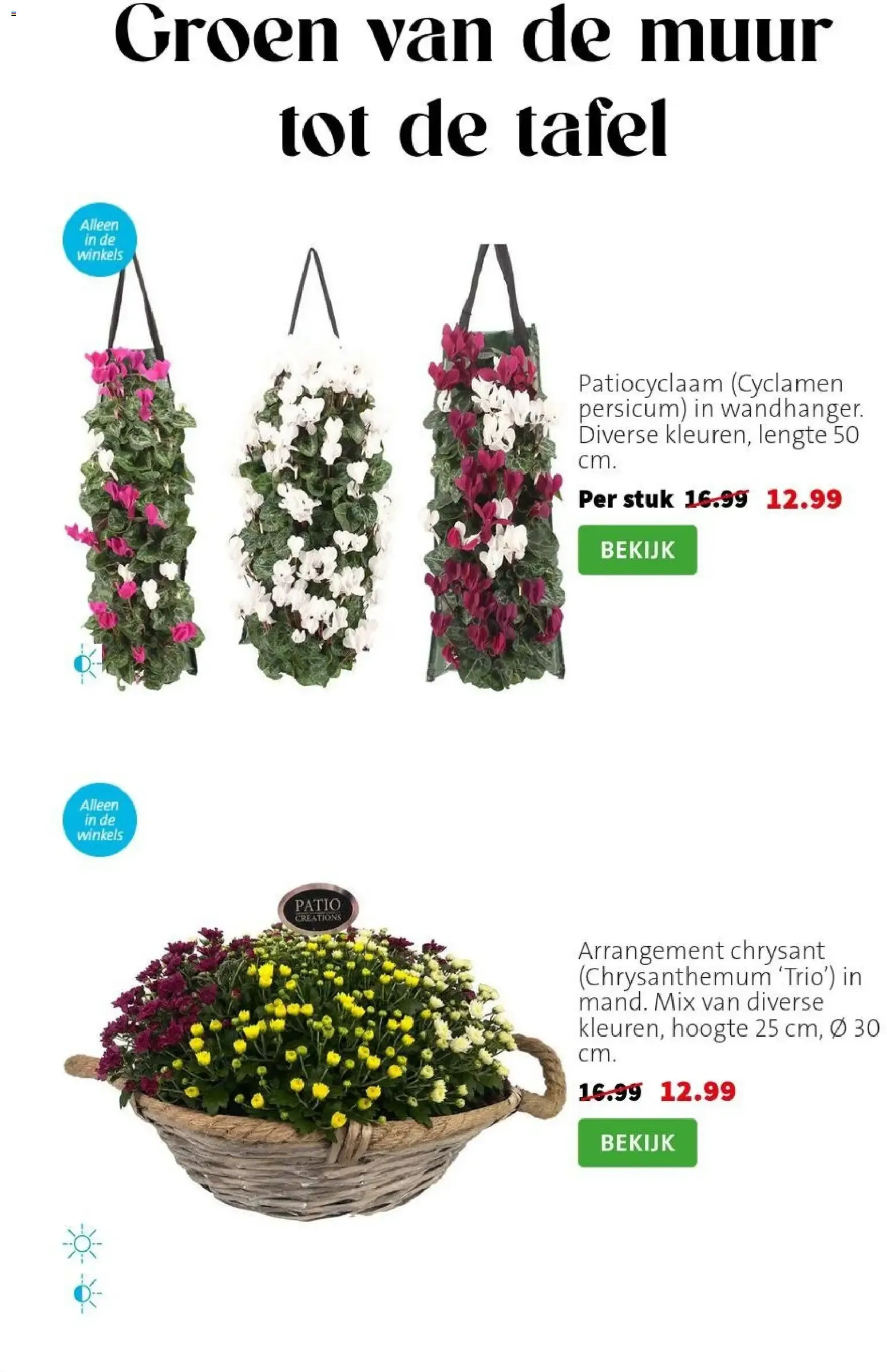 Planten-statement van 31 augustus tot 6 september 2026 - Folder pagina 6