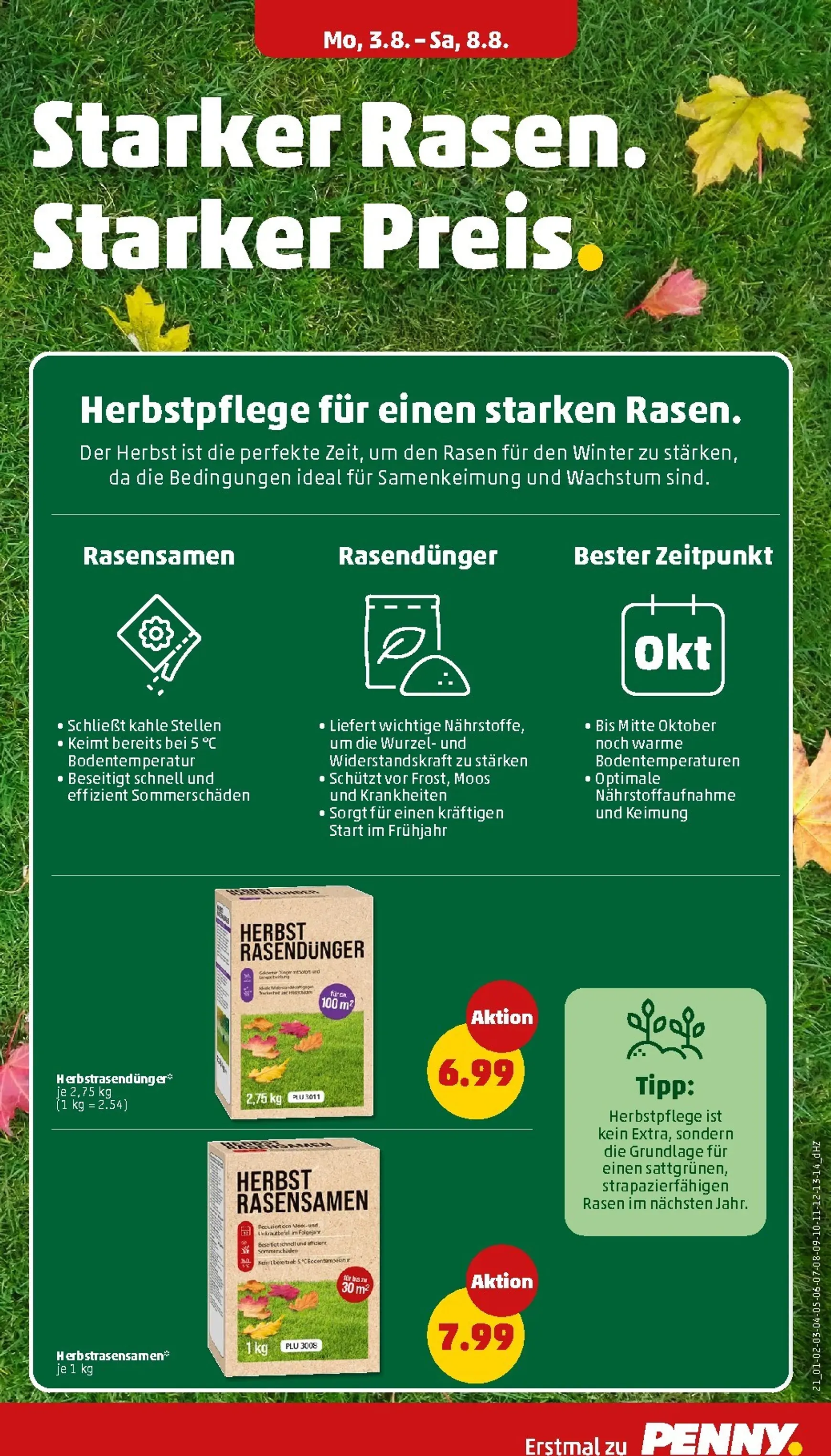 PENNY Prospekt nächste Woche – von Montag 03.08.2026 bis Samstag 08.08.2026 von 3. August bis 8. August 2026 - Prospekt seite 25