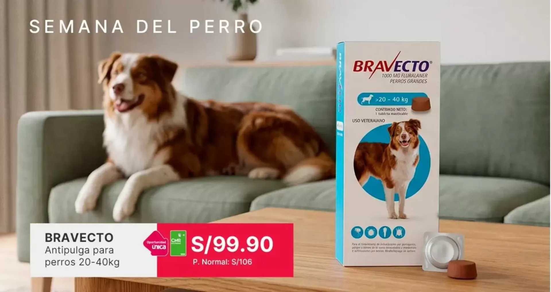 Catalogo de Semana del Perro - Ricocan Alimento para Perros 17 de julio al 1 de agosto 2026 - Pag 2