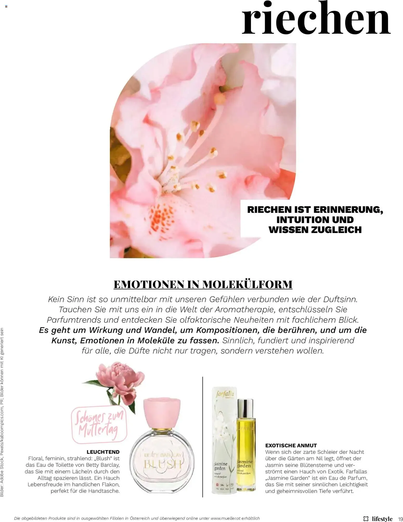 Müller Magazine Lifestyle 3/26 von 19.05.2026 - Aktuelle Angebote von 19. Mai bis 30. Juni 2026 - Flugblätt seite 19