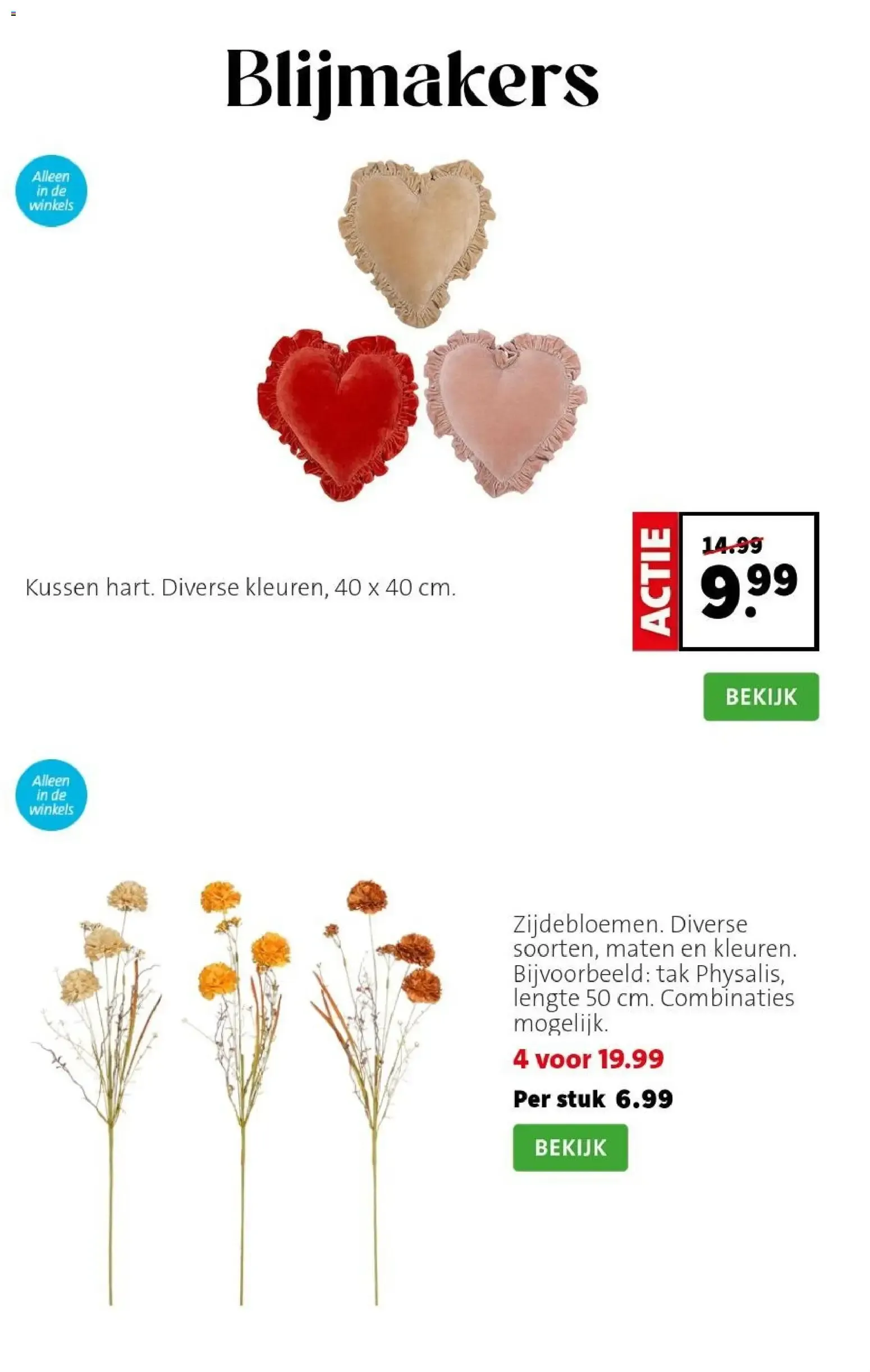 Bloemen met flair van 7 september tot 13 september 2026 - Folder pagina 7