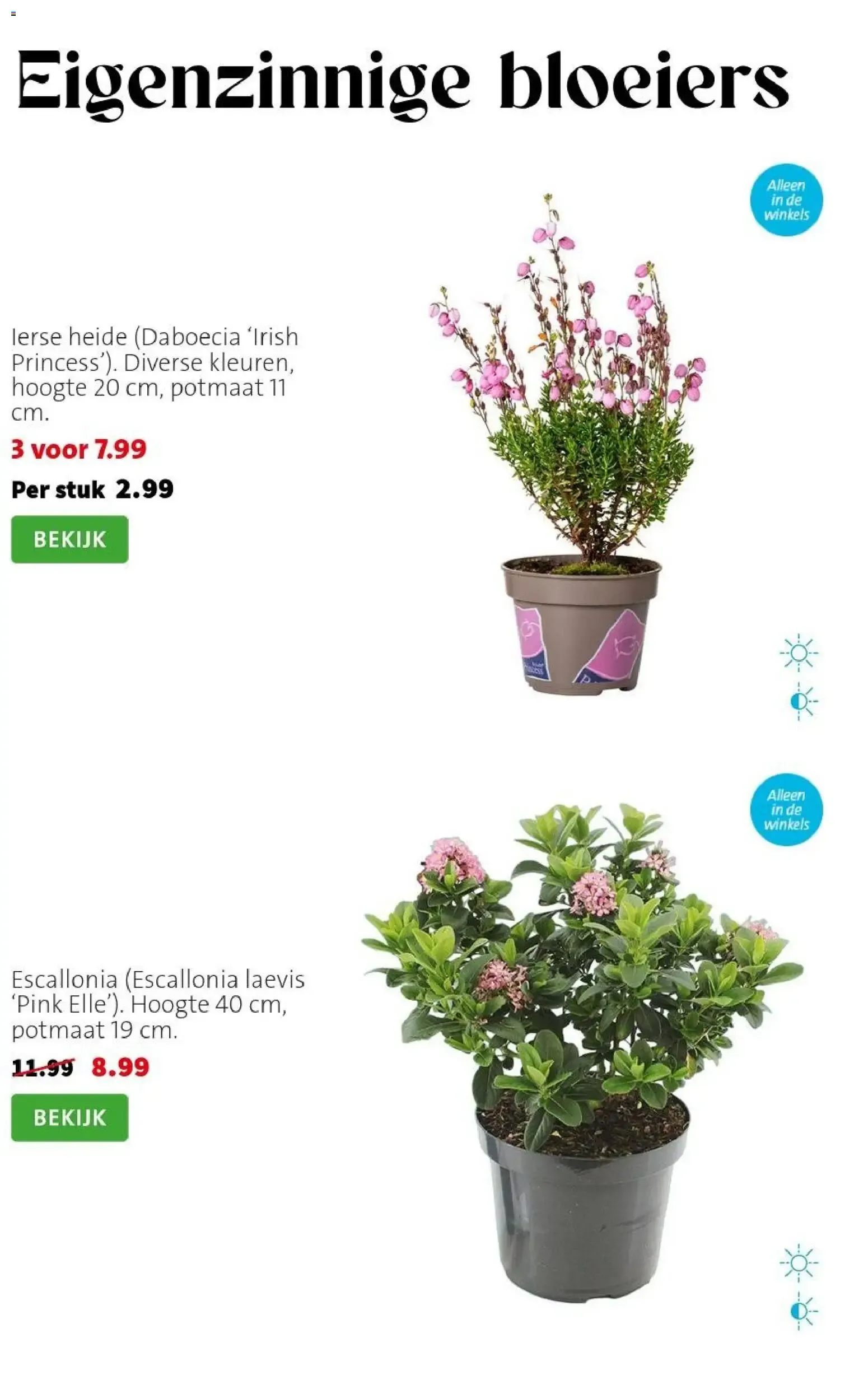 Intratuin: Sale con hasta 50% de descuento van 3 augustus tot 9 augustus 2026 - Folder pagina 3
