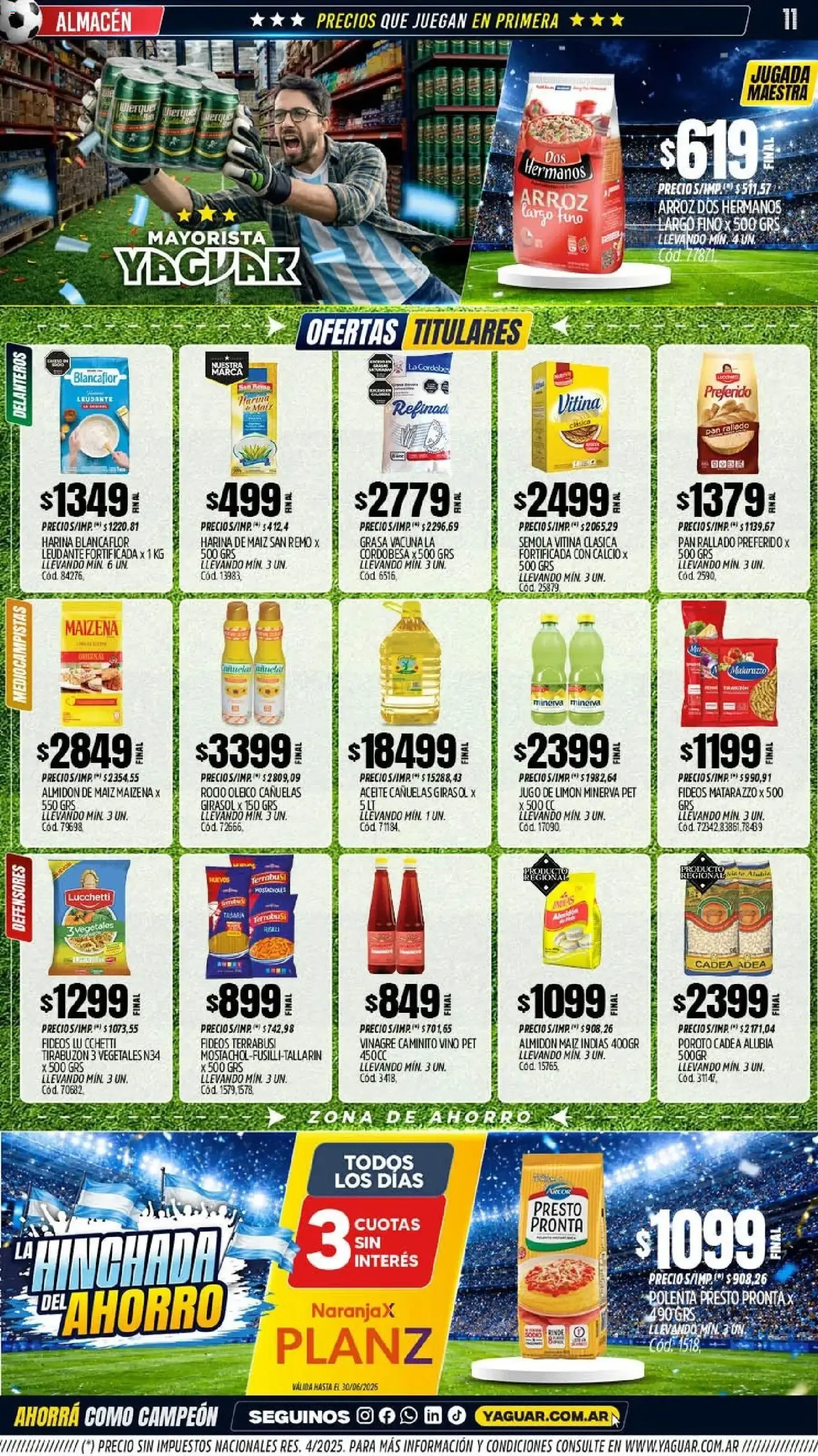 Ofertas de Mayorista Yaguar - La Hinchada del Ahorro 15 de junio al 20 de junio 2026 - Página 10 del catálogo