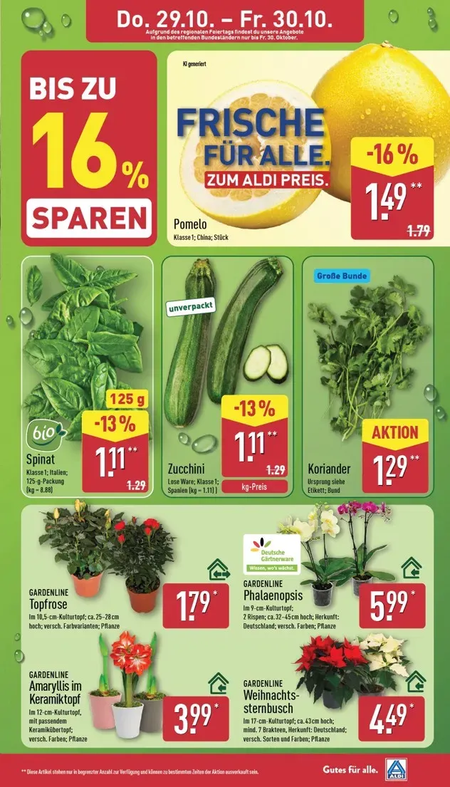 ALDI NORD Prospekt nächste Woche – von Montag 26.10.2026 bis Freitag 30.10.2026 von 26. Oktober bis 30. Oktober 2026 - Prospekt seite 32