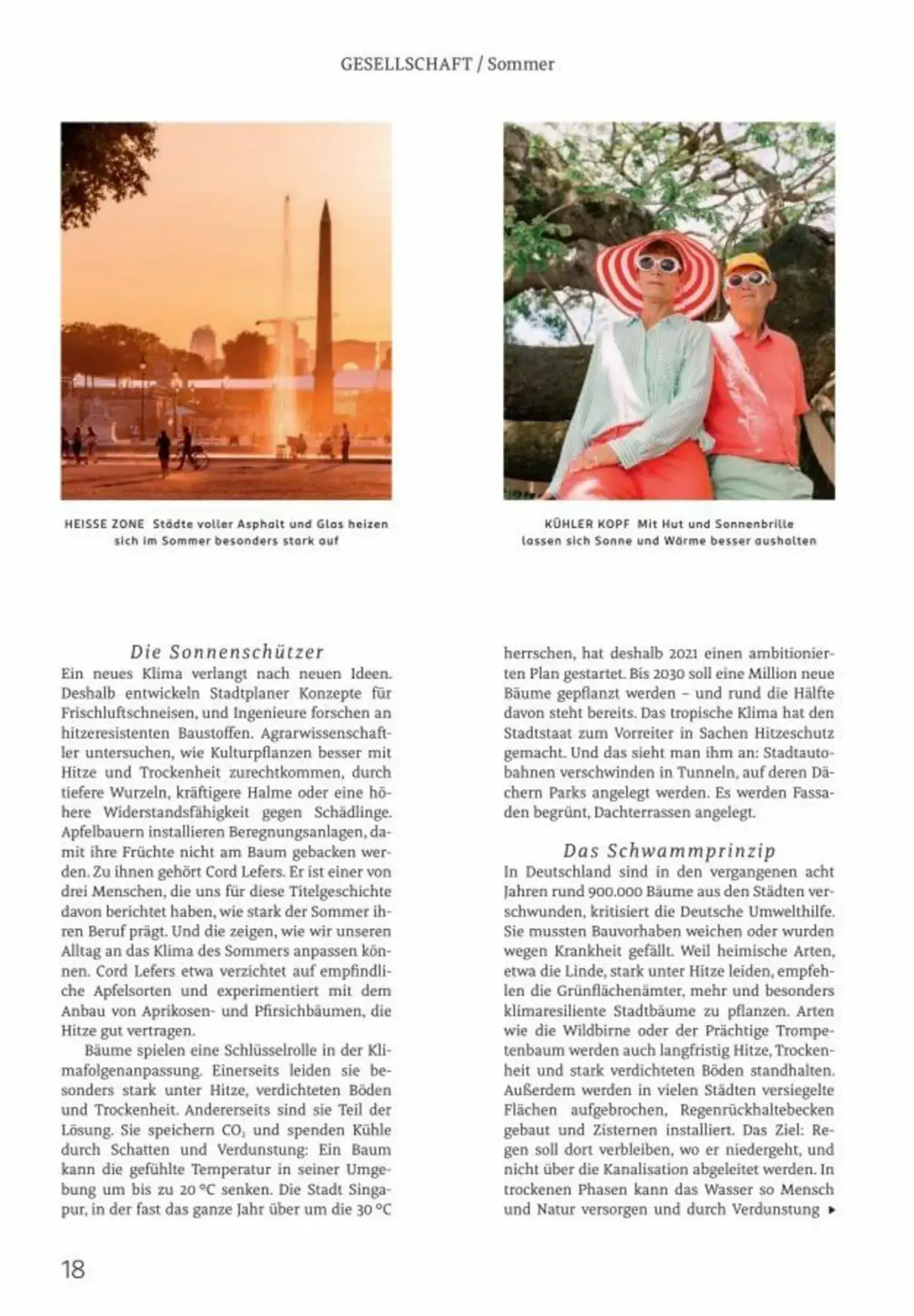 Centaur Magazin (Rossmann) von 1. August bis 31. August 2026 - Prospekt seite 19