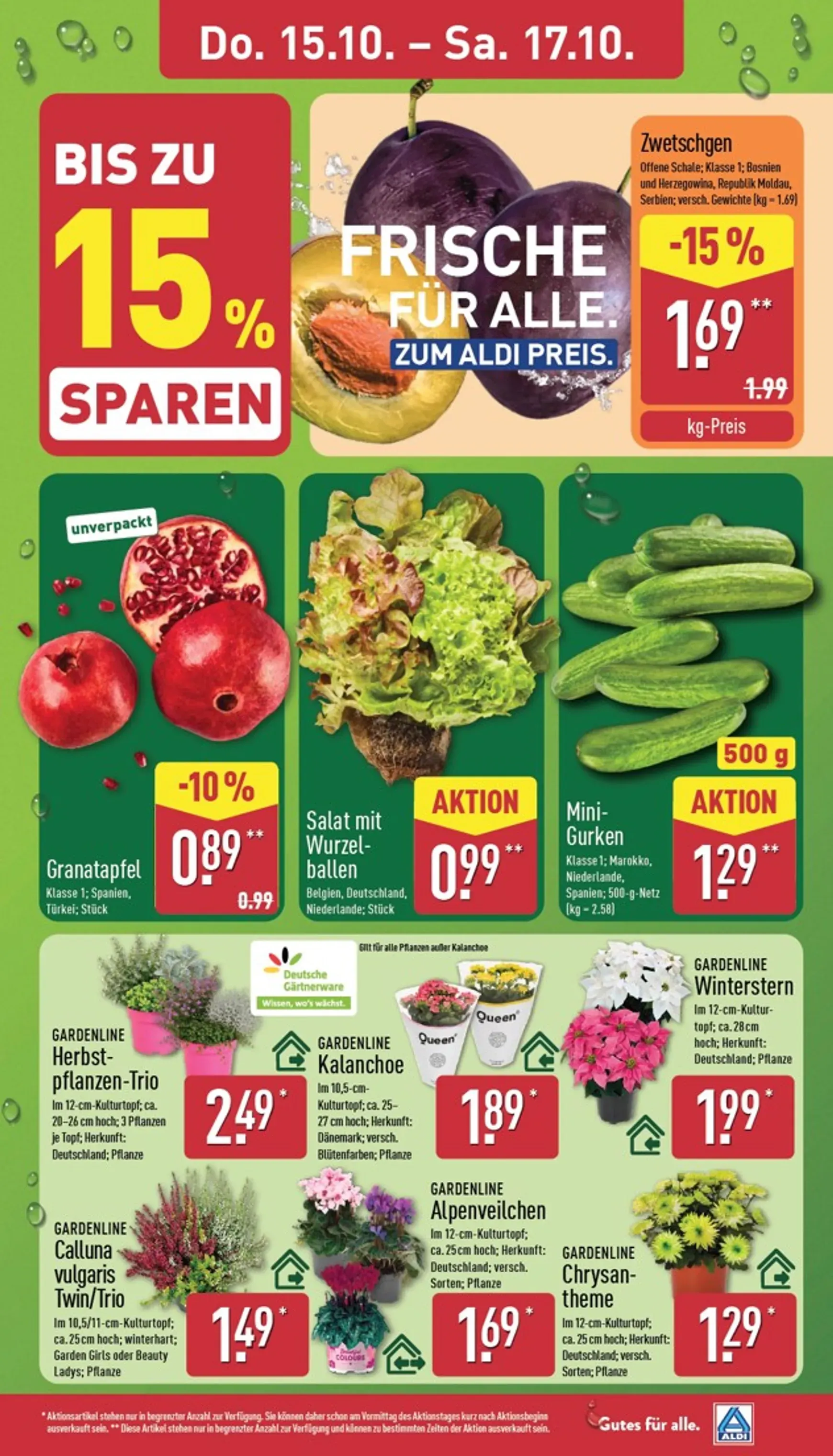 GUTES FÜR ALLE. von 12. Oktober bis 17. Oktober 2026 - Prospekt seite 29