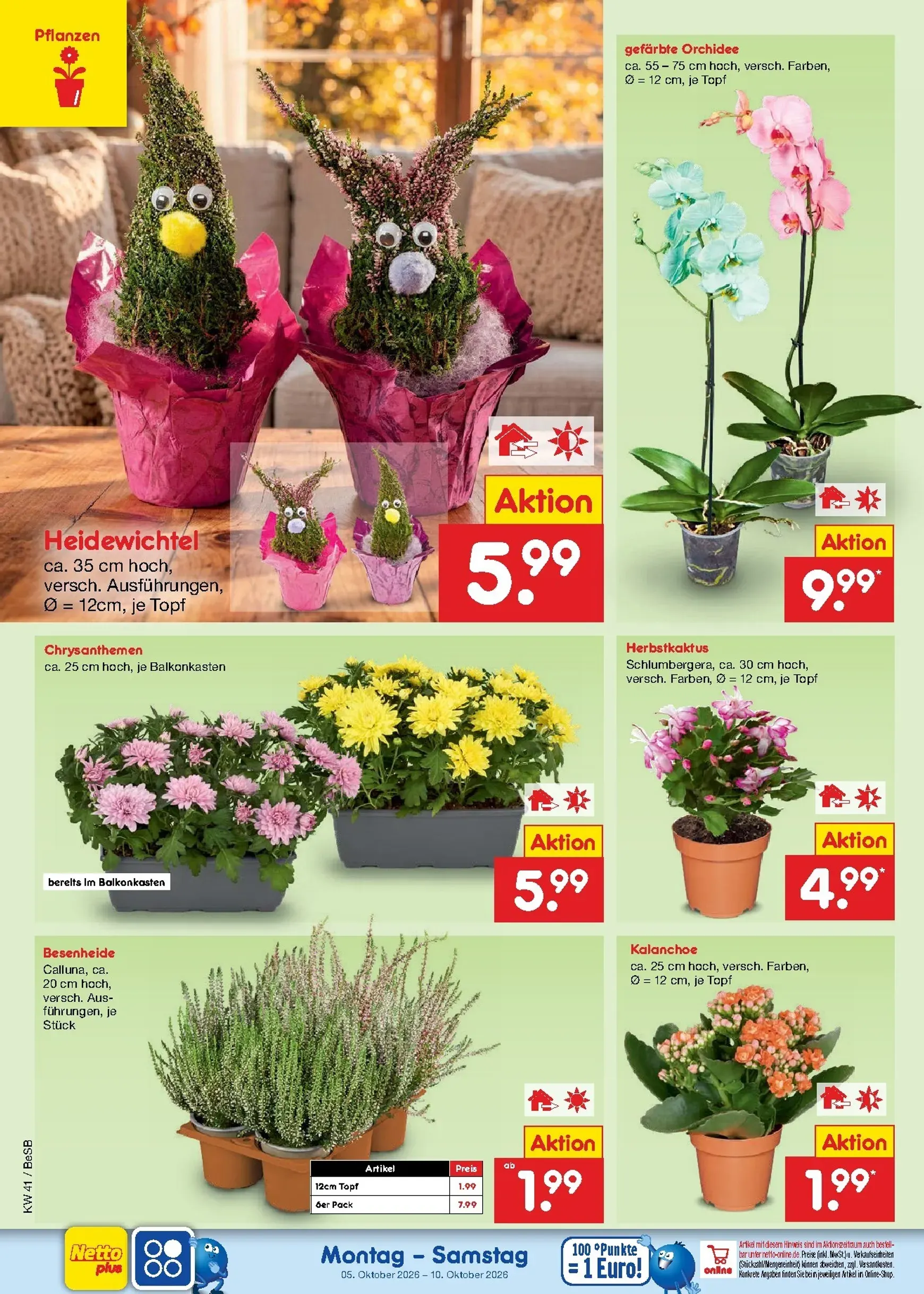 Netto Marken Discount Prospekt – von Montag 05.10.2026 bis Samstag 10.10.2026 von 5. Oktober bis 10. Oktober 2026 - Prospekt seite 33