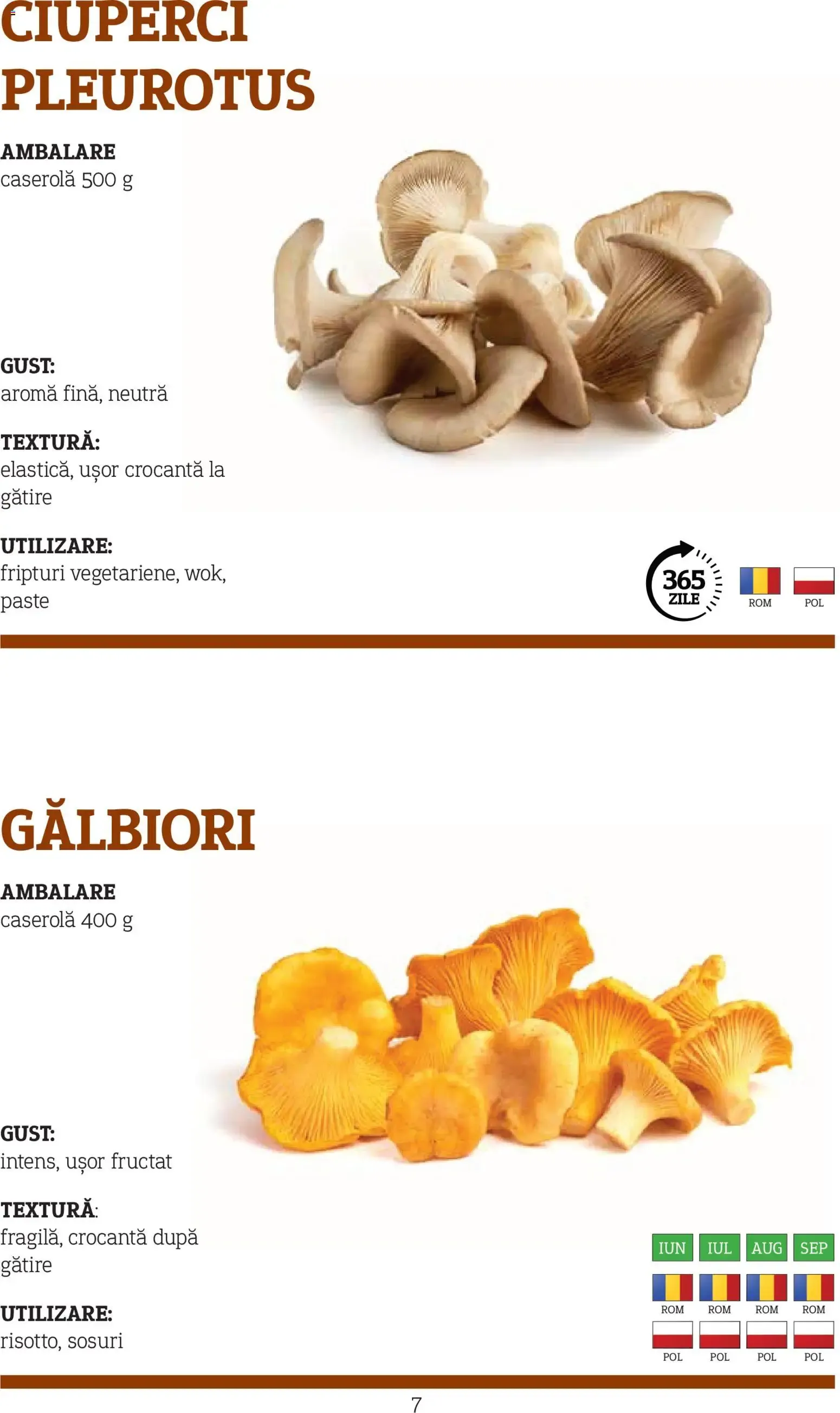 Catalog Metro catalog - Varietăți de Ciuperci - Oferta 10.11.2025 - 31.12.2026 de la 10 noiembrie până la 31 decembrie 2026 - Revista Pagina 7