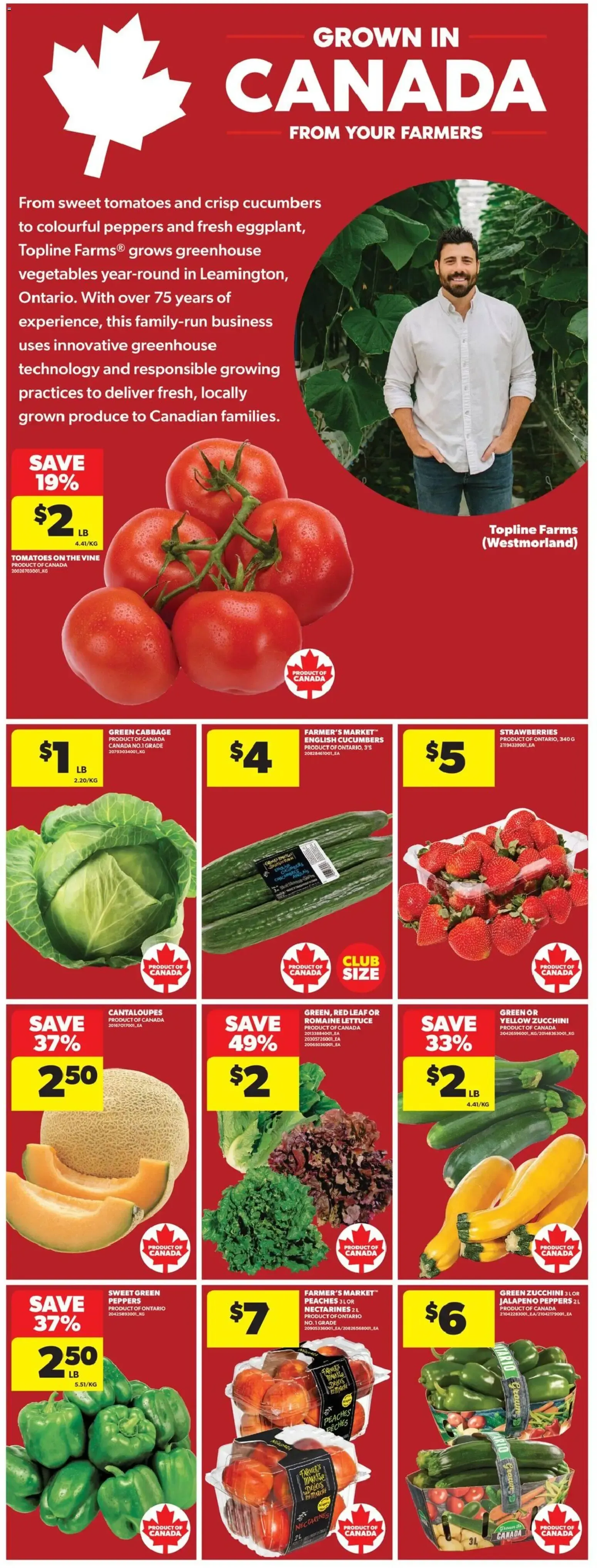 Fresh Promise from August 6 to August 12 2026 - flyer page 13