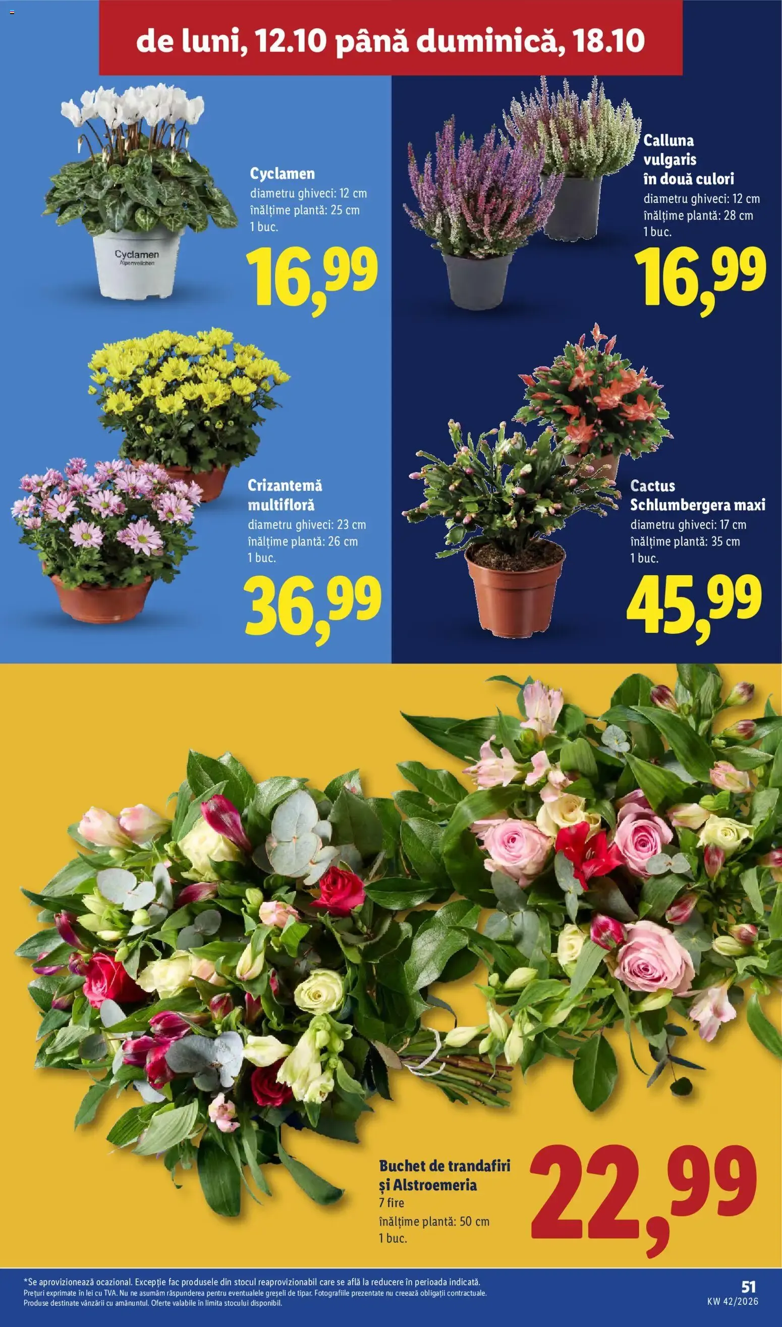 Catalog Catalog LIDL 12.10.2026 - Oferta și Revista online de la 12 octombrie până la 18 octombrie 2026 - Revista Pagina 51