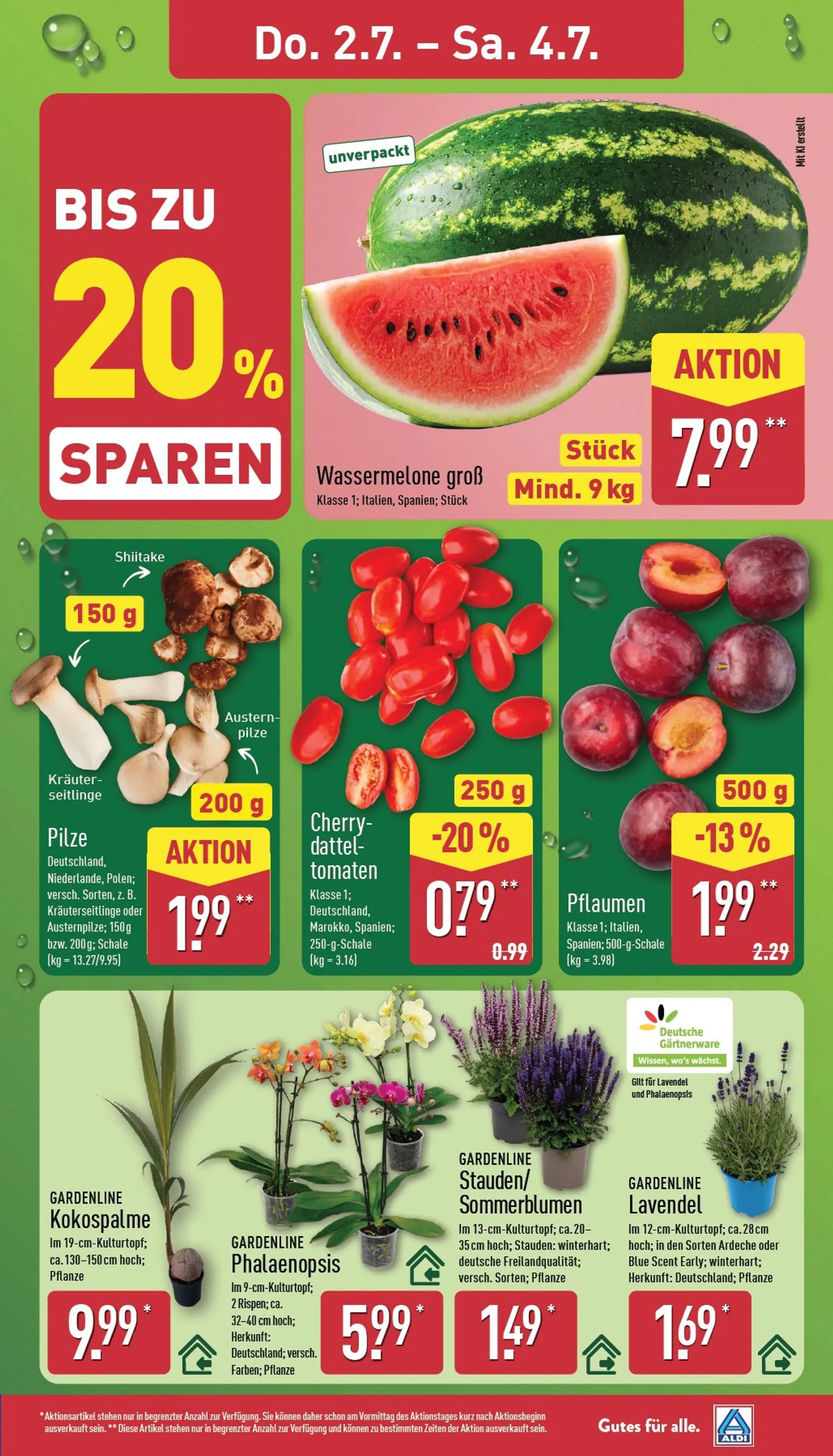 ALDI NORD Prospekt – von Montag 29.06.2026 bis Samstag 04.07.2026 von 29. Juni bis 4. Juli 2026 - Prospekt seite 31